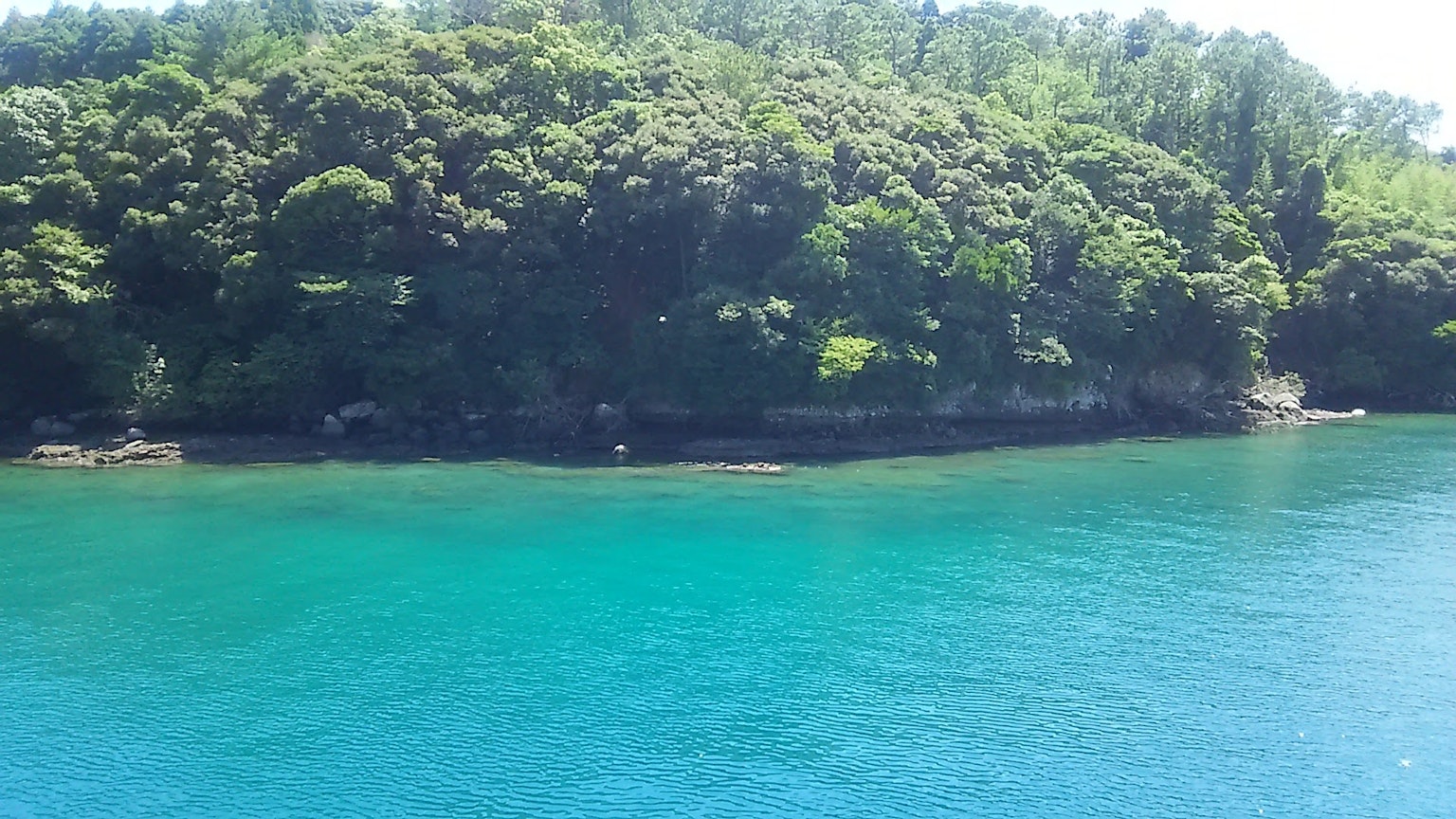 Vista panoramica di acqua turchese circondata da alberi verdi lussureggianti