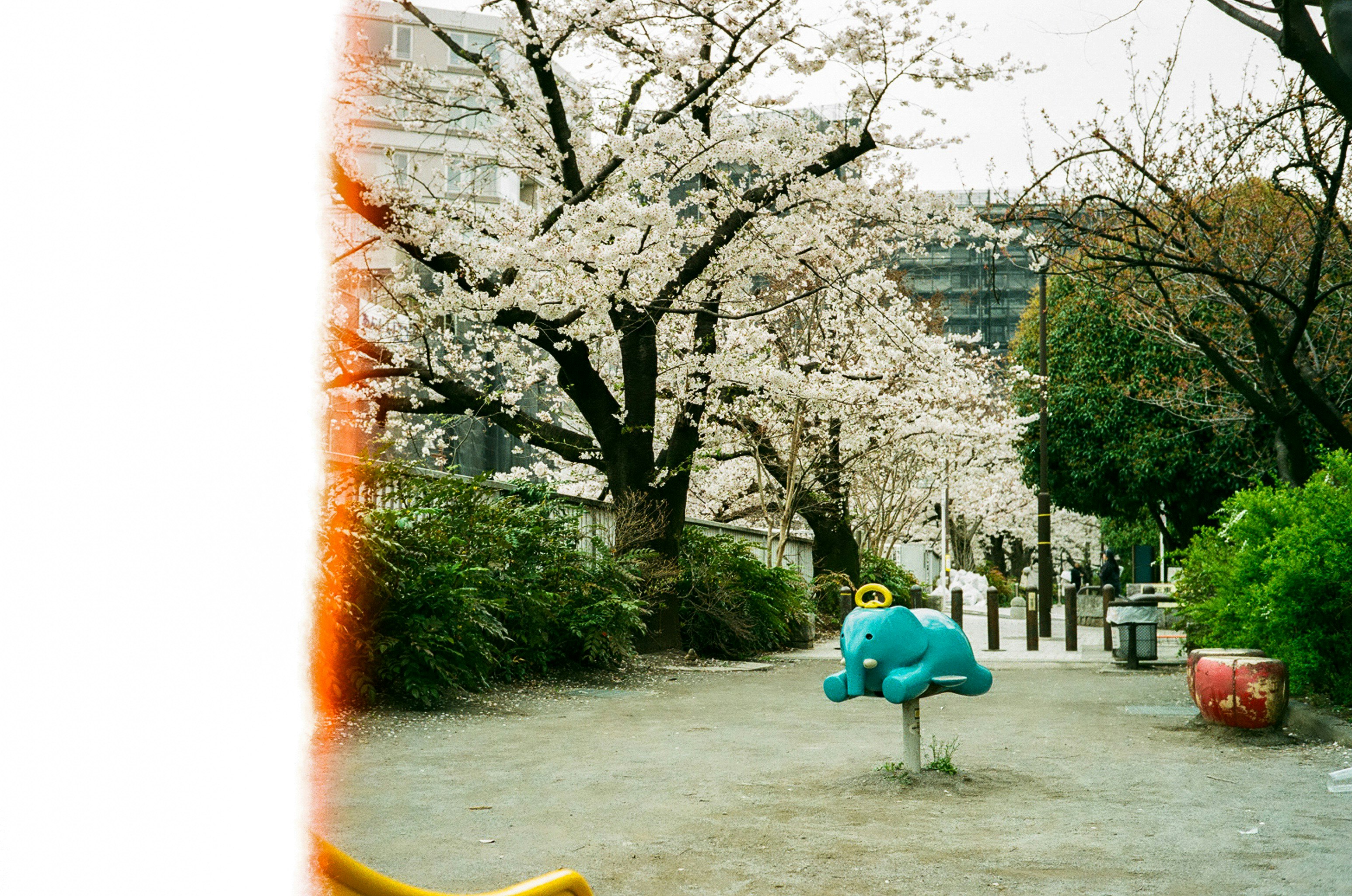 桜並木の遊歩道に置かれた青い恐竜のオブジェ