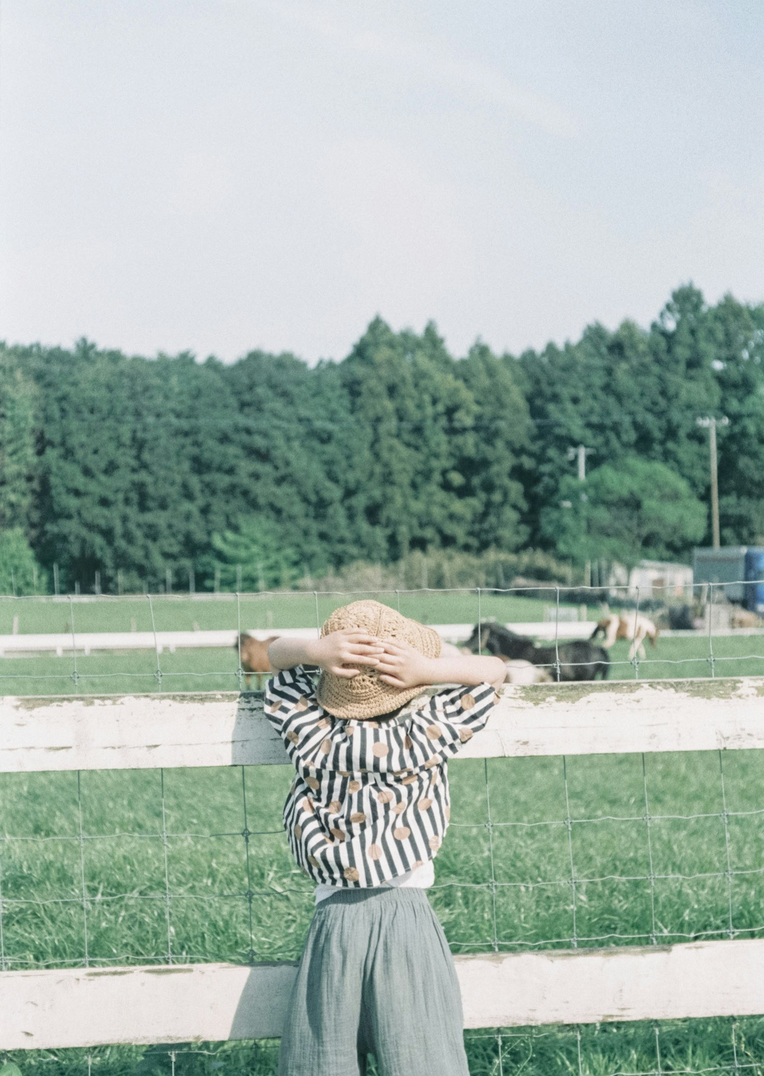 A woman in a striped shirt leaning on a fence looking at a green pasture