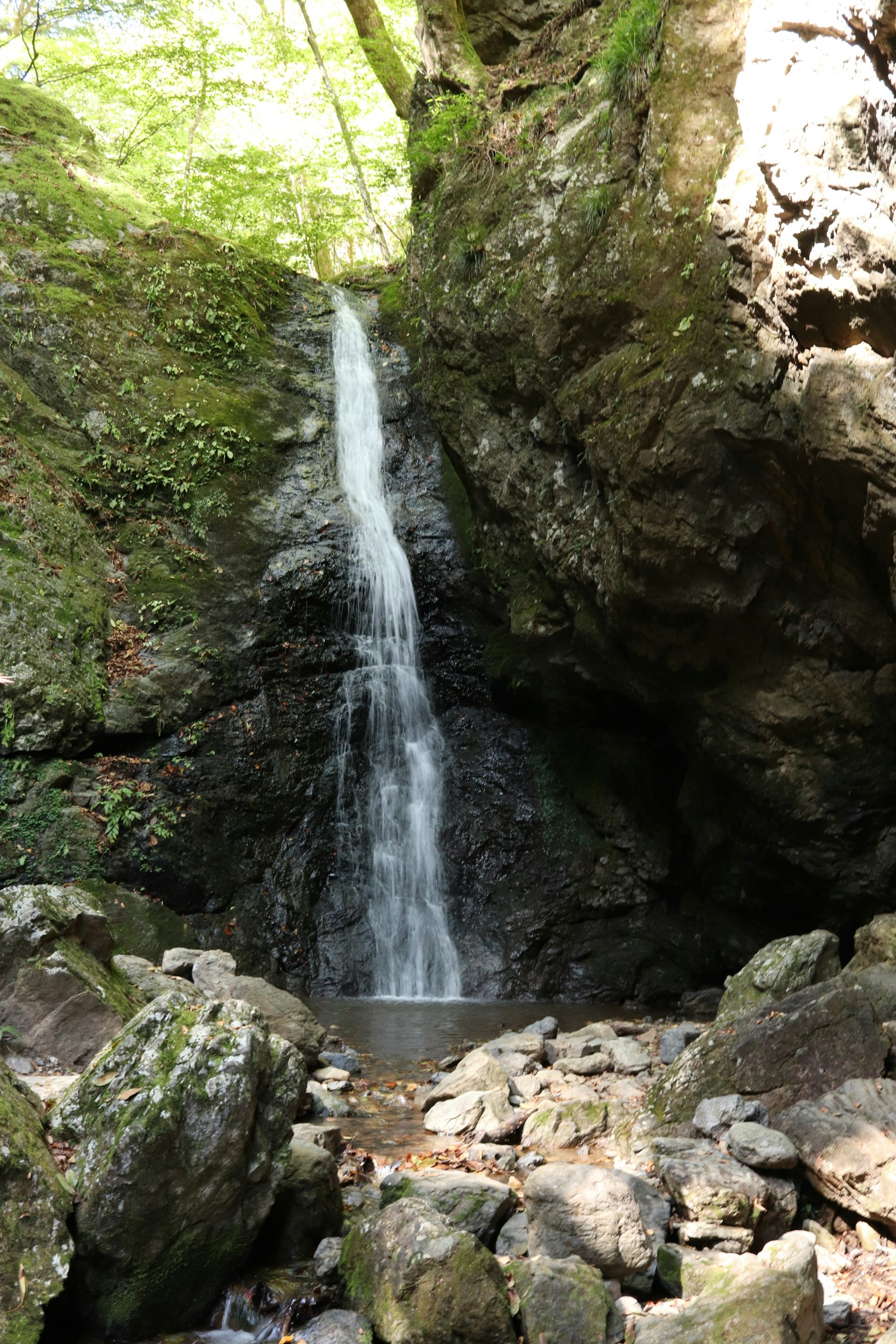 A small waterfall cascading between rocks in a lush green landscape