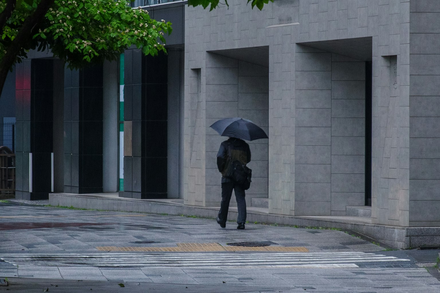 Một người đi bộ dưới mưa cầm ô trong môi trường đô thị