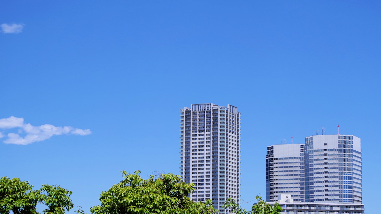 Skyline cittadino con grattacieli sotto un cielo blu chiaro e vegetazione in primo piano