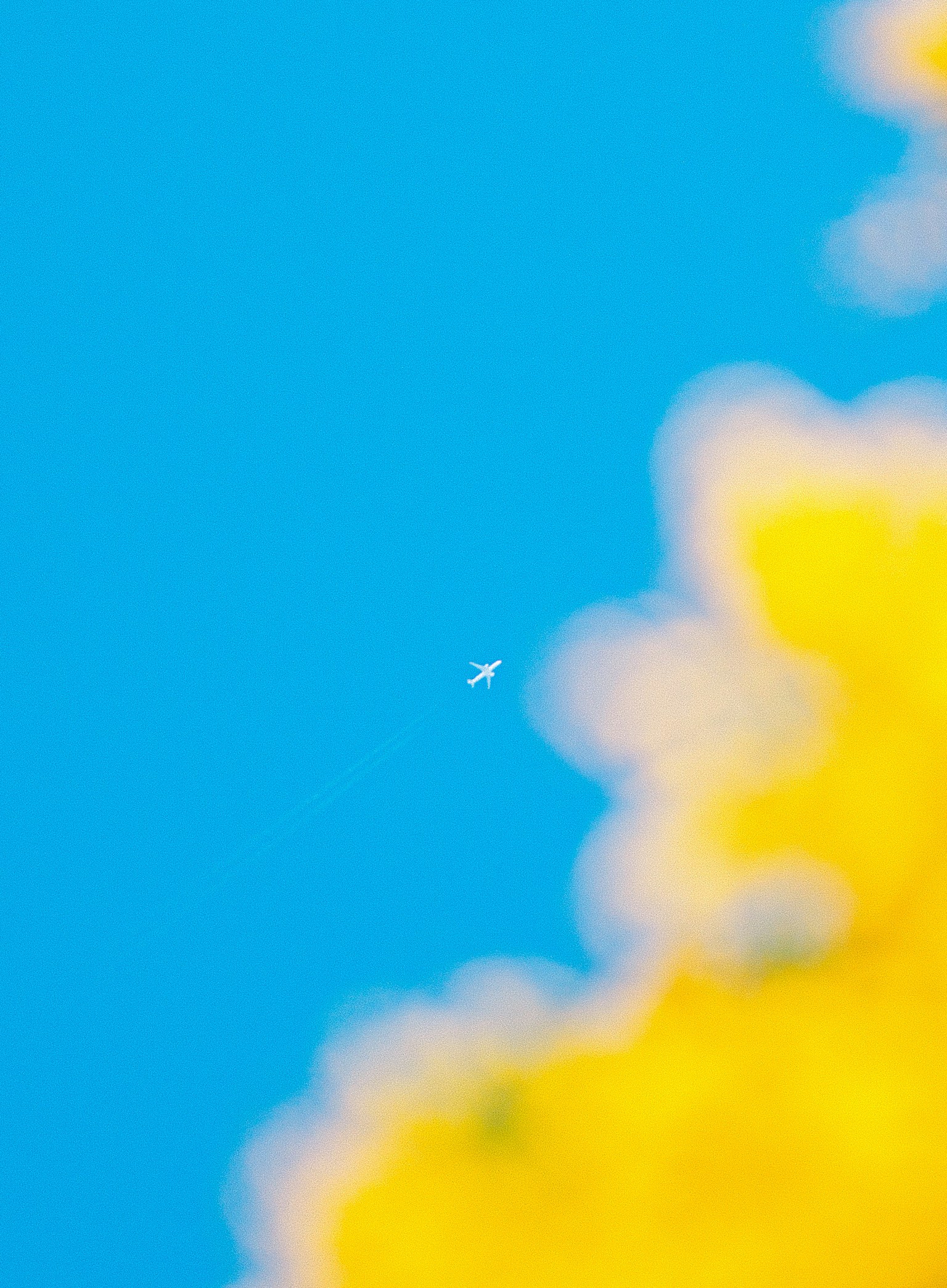 Petit avion dans un ciel bleu clair avec des fleurs jaunes vives au premier plan