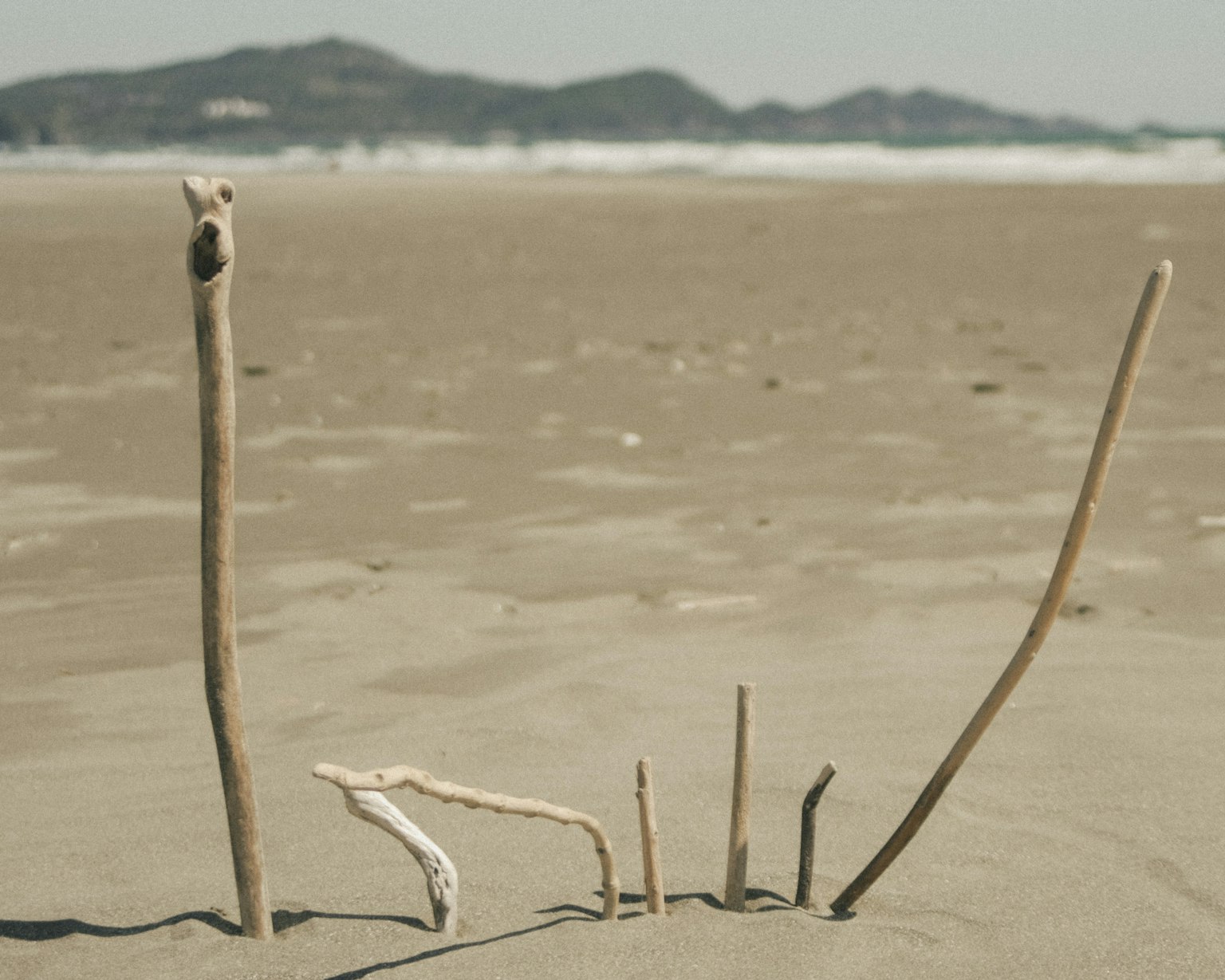 沙灘上的木棍藝術作品