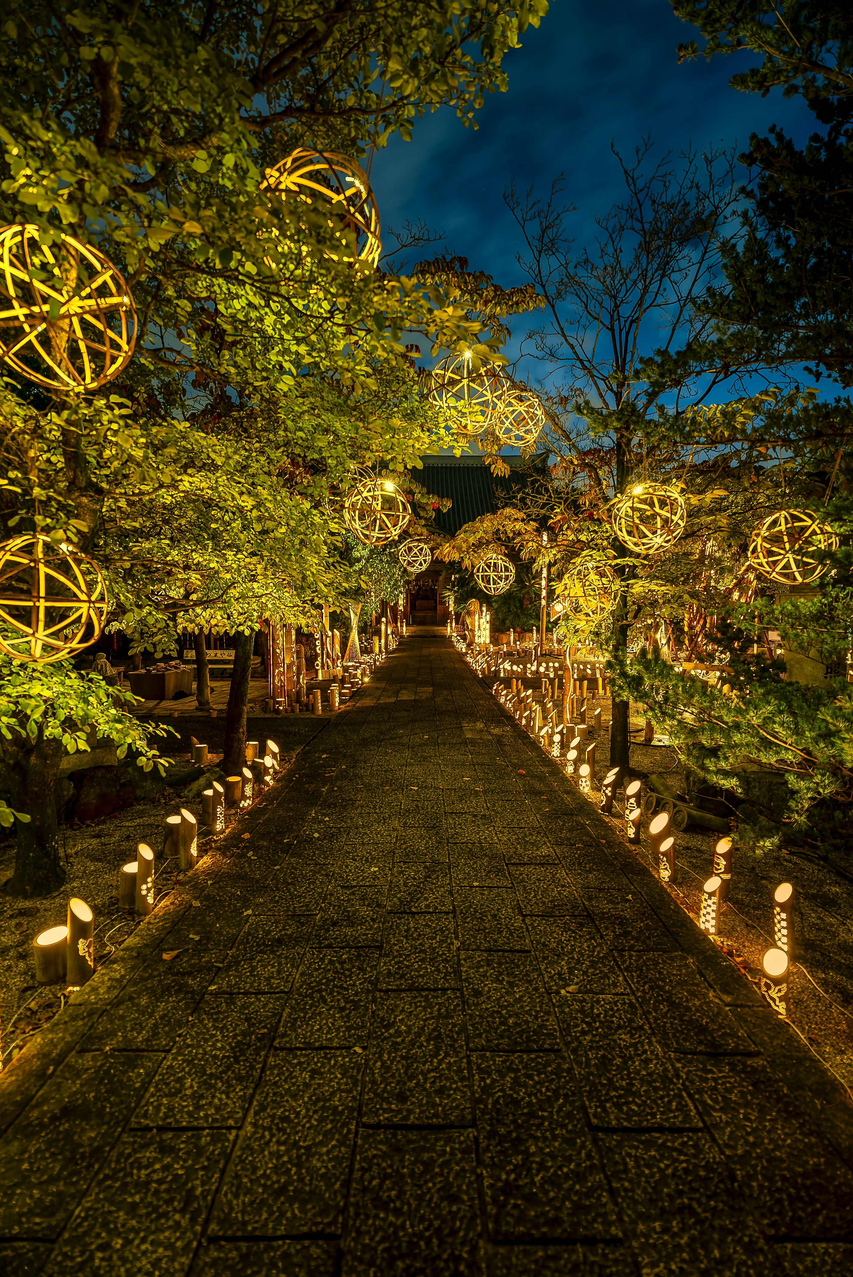 night path lined with bamboo lanterns