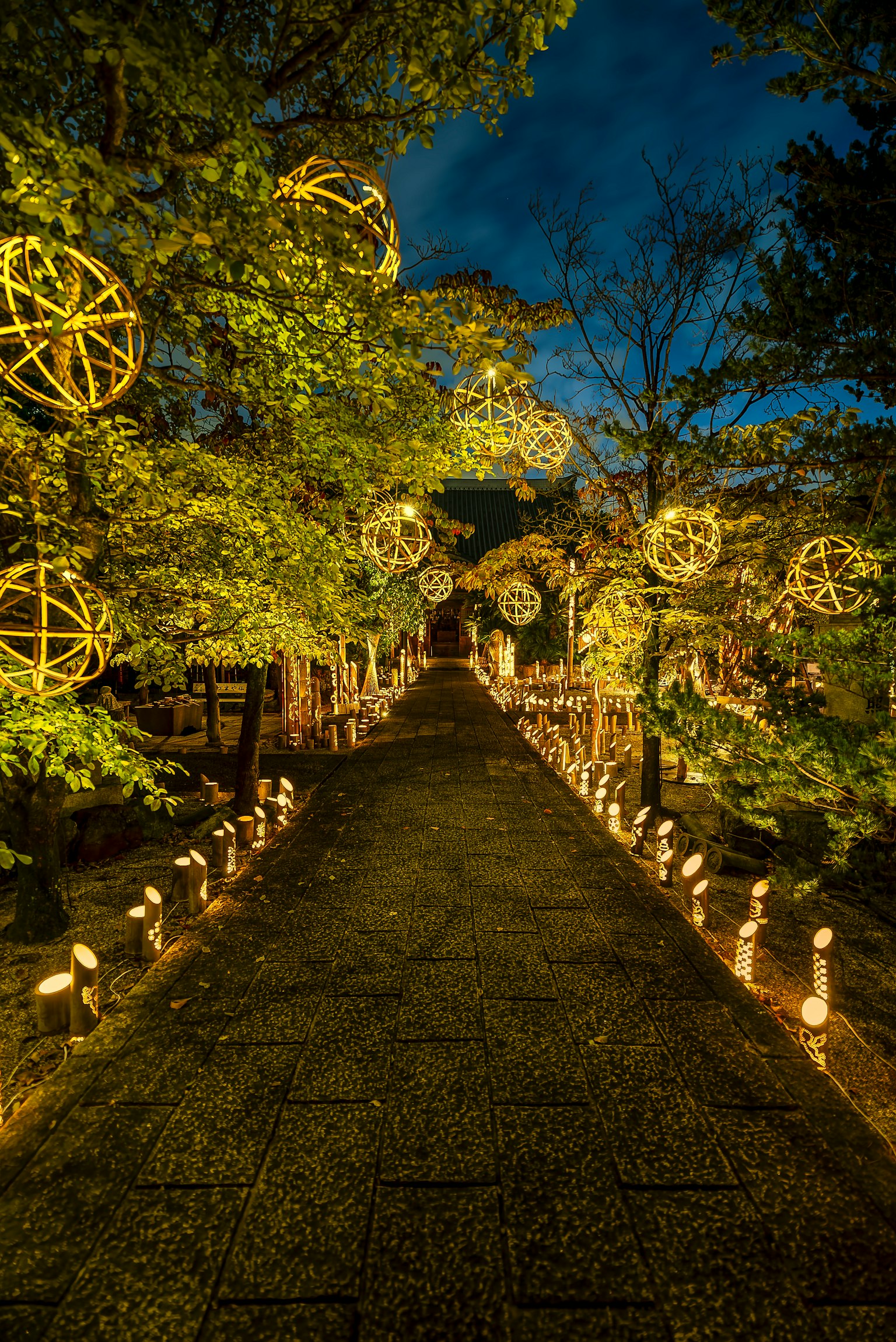 Un chemin éclairé dans un jardin la nuit orné de sphères lumineuses décoratives