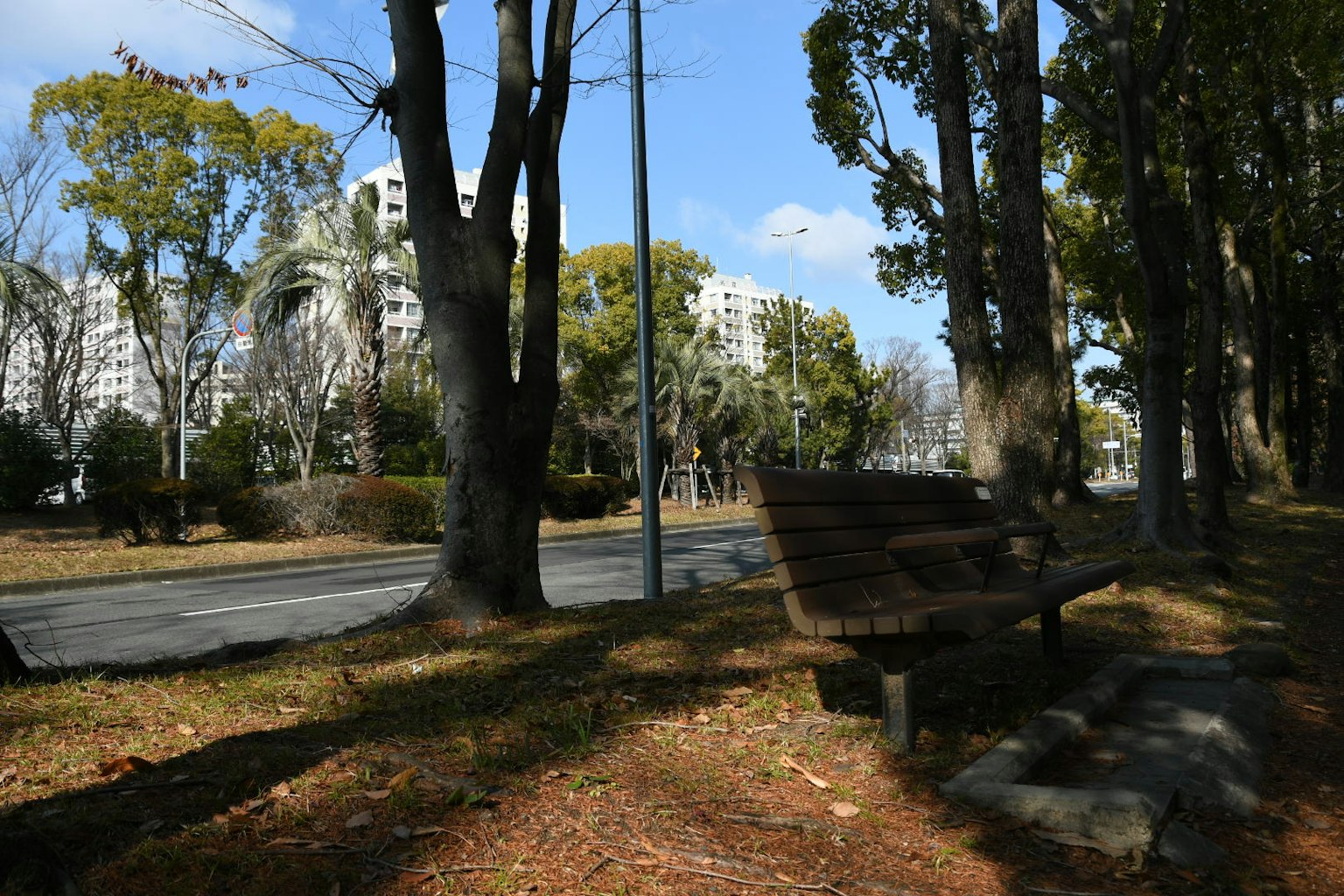 Park bench surrounded by trees with blue sky and white clouds in the background featuring urban buildings
