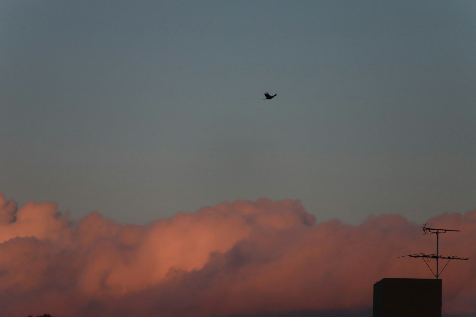 Aereo che vola nel cielo al tramonto con nuvole colorate