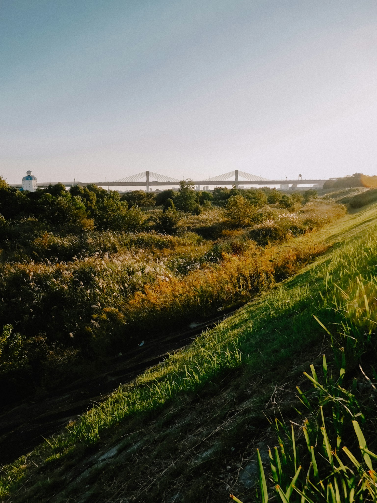 Üppiges grünes Gras und Blumen mit einer Brücke im Hintergrund