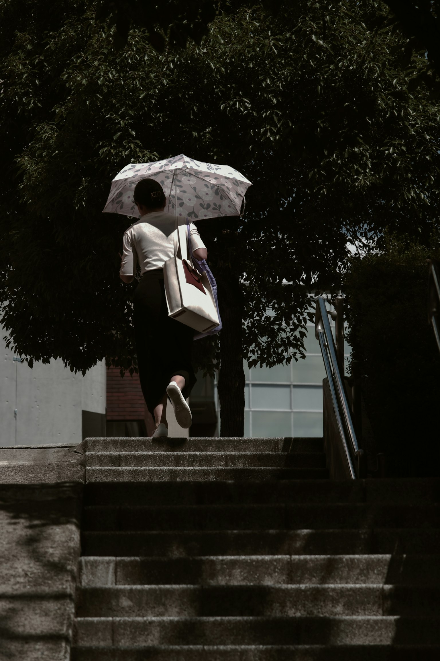 Silhouette einer Frau, die Treppen mit einem Regenschirm hinaufsteigt Bäume und Gebäude im Hintergrund
