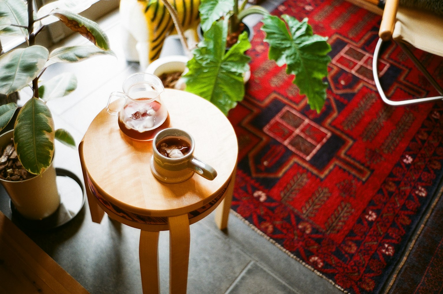 Adegan dalam ruangan yang nyaman dengan bangku kayu, cangkir kopi, dan lilin dikelilingi oleh tanaman hias dan karpet merah