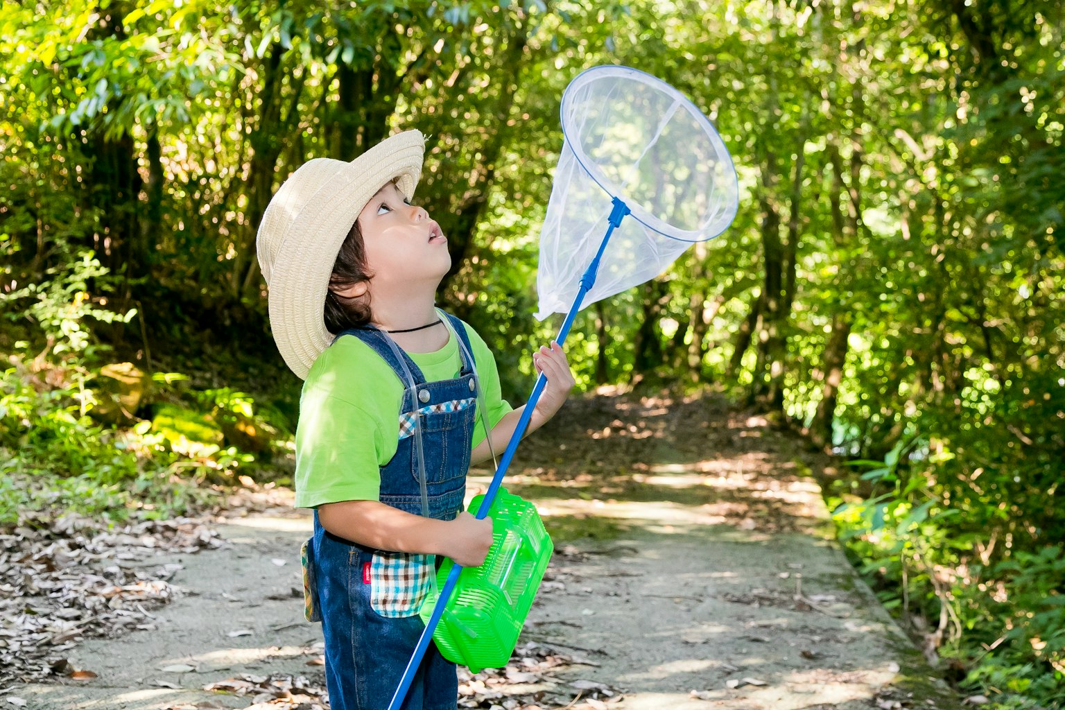 Bambino con una rete per farfalle in una foresta