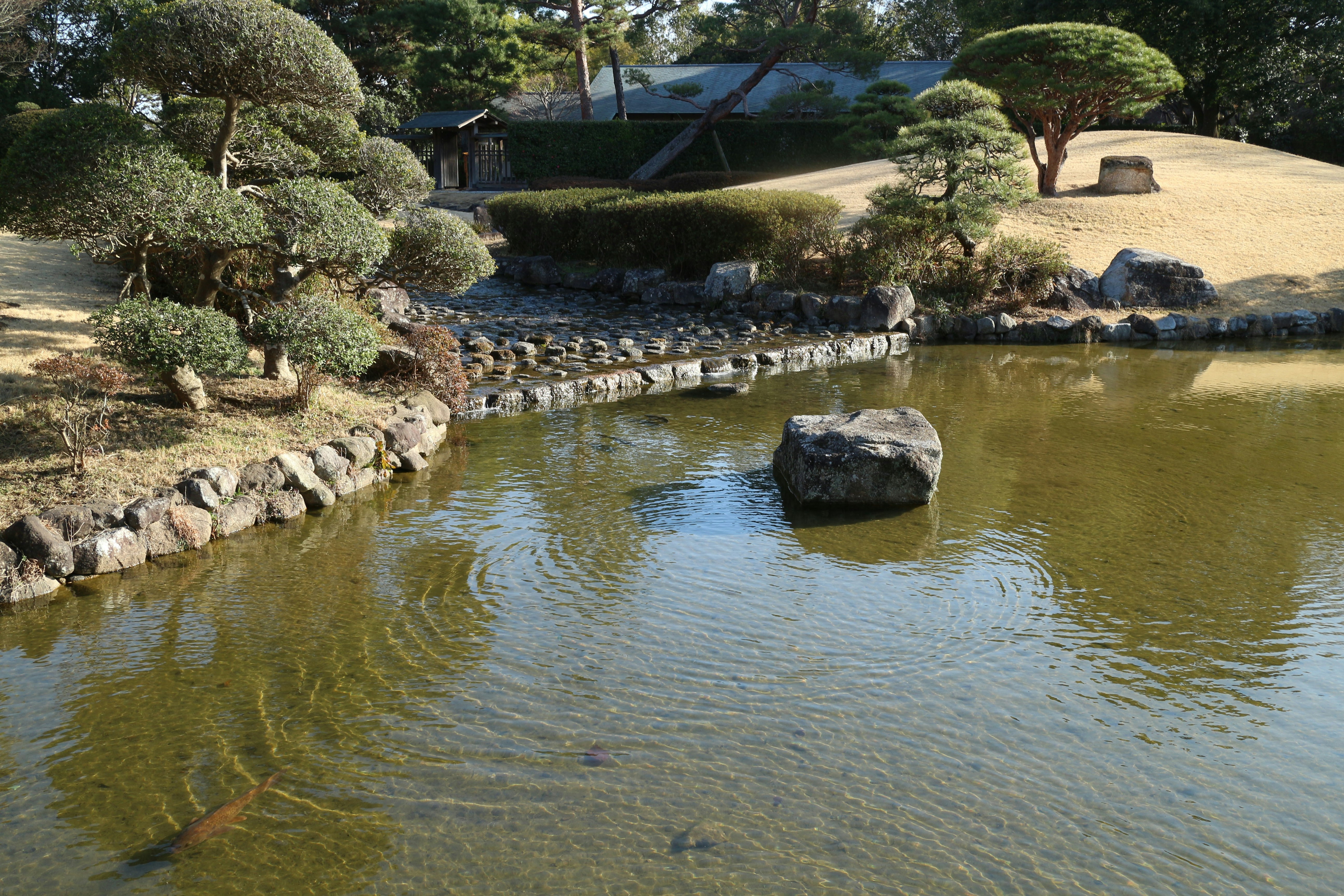 庭院池塘與石砌小溪的景觀