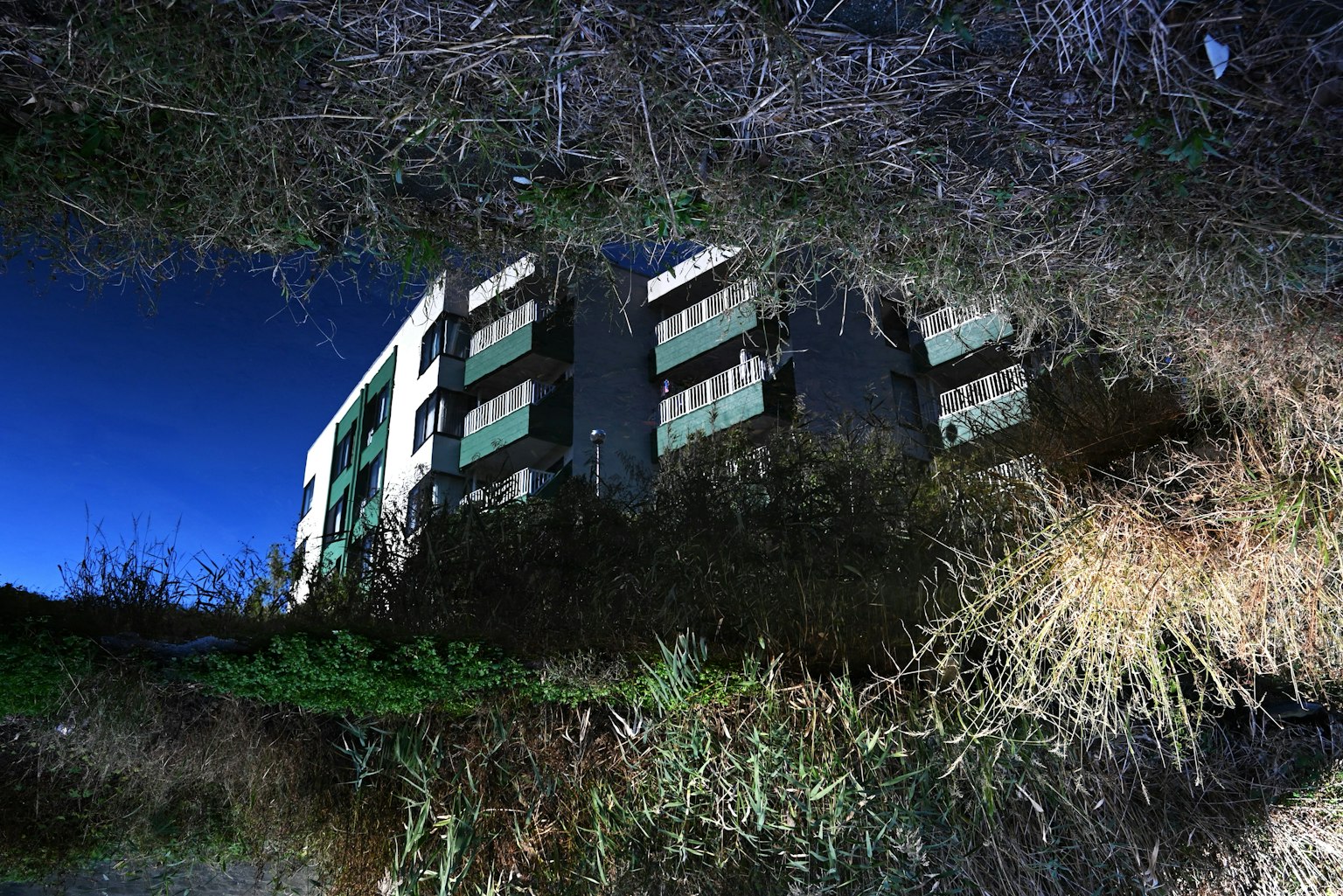 Riflesso di un edificio in acqua scura circondato da erba