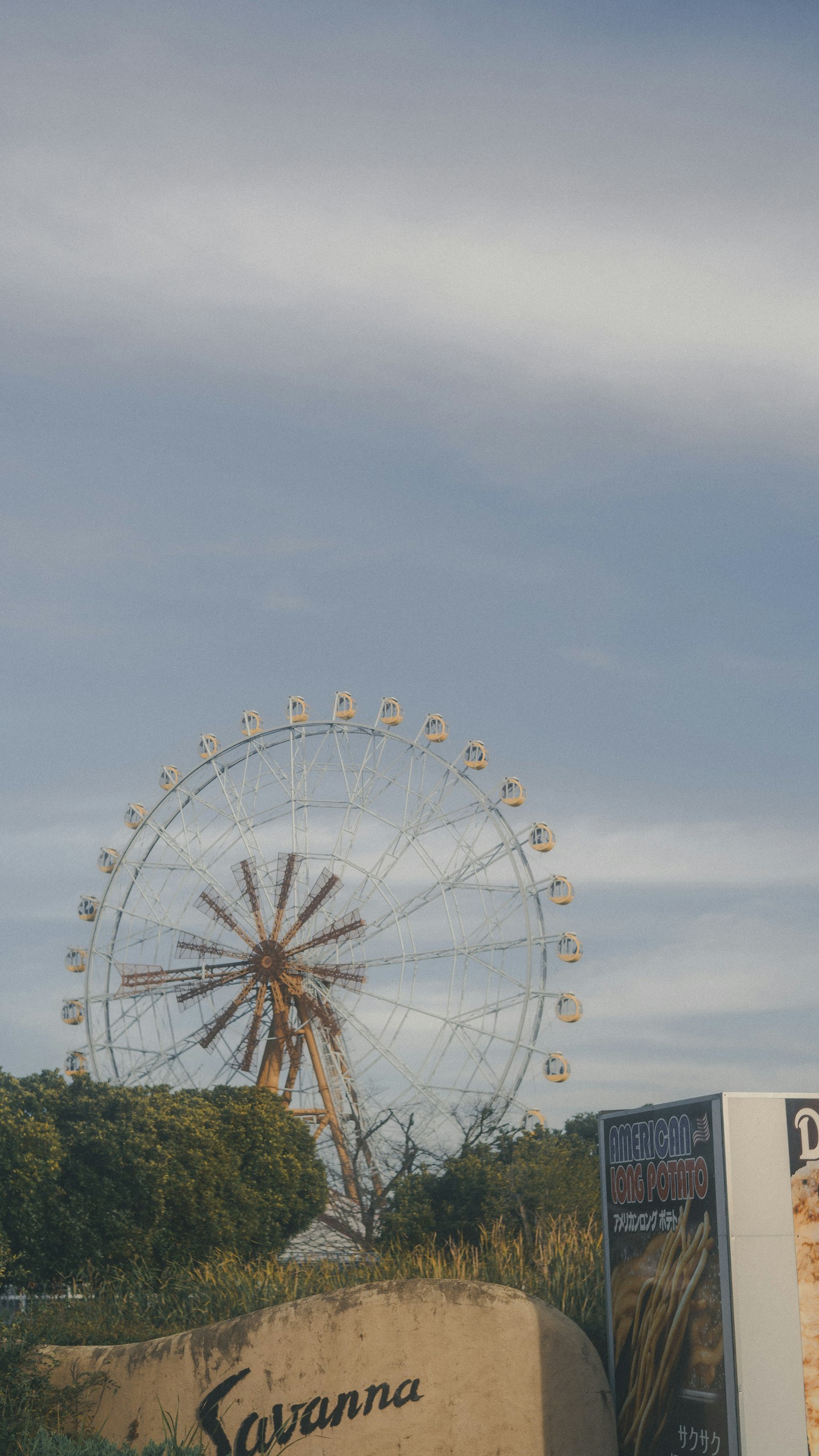サバンナの観覧車が青空の下にある風景