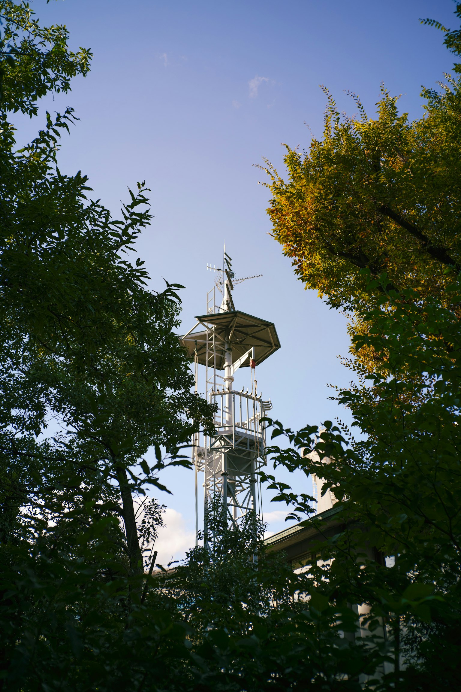 Torre di comunicazione parzialmente nascosta da alberi verdi e cielo blu