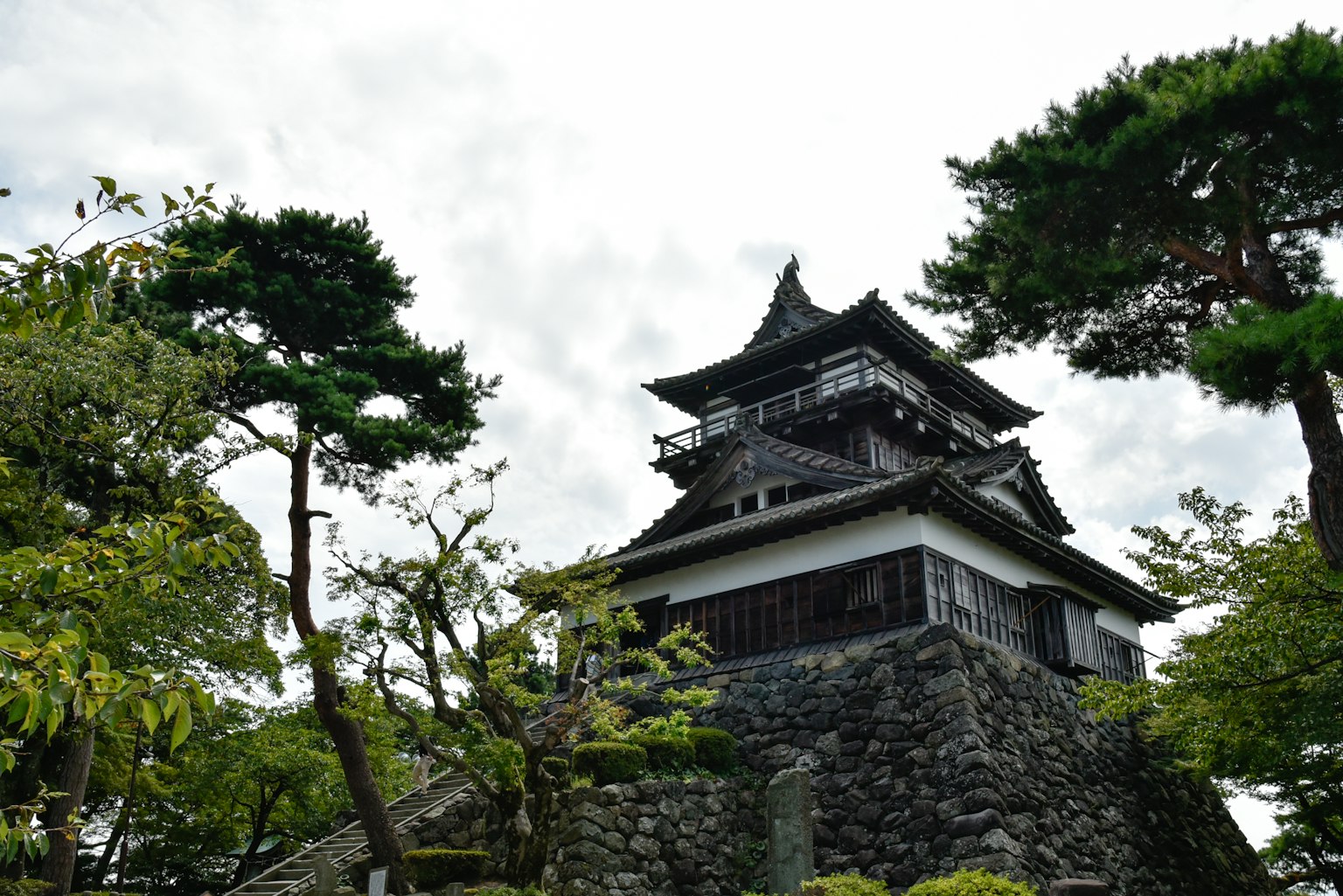 Ein historischer japanischer Schloss-Turm umgeben von Kiefern