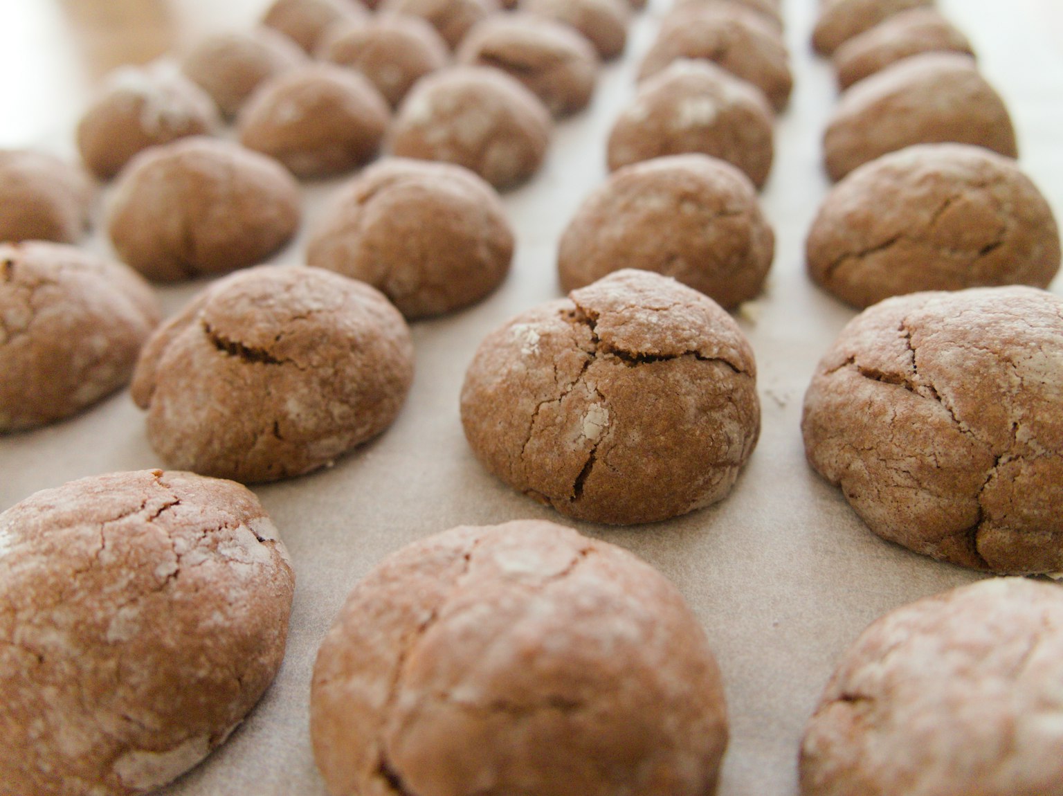 Boules de pâte à biscuits non cuites disposées en rangées