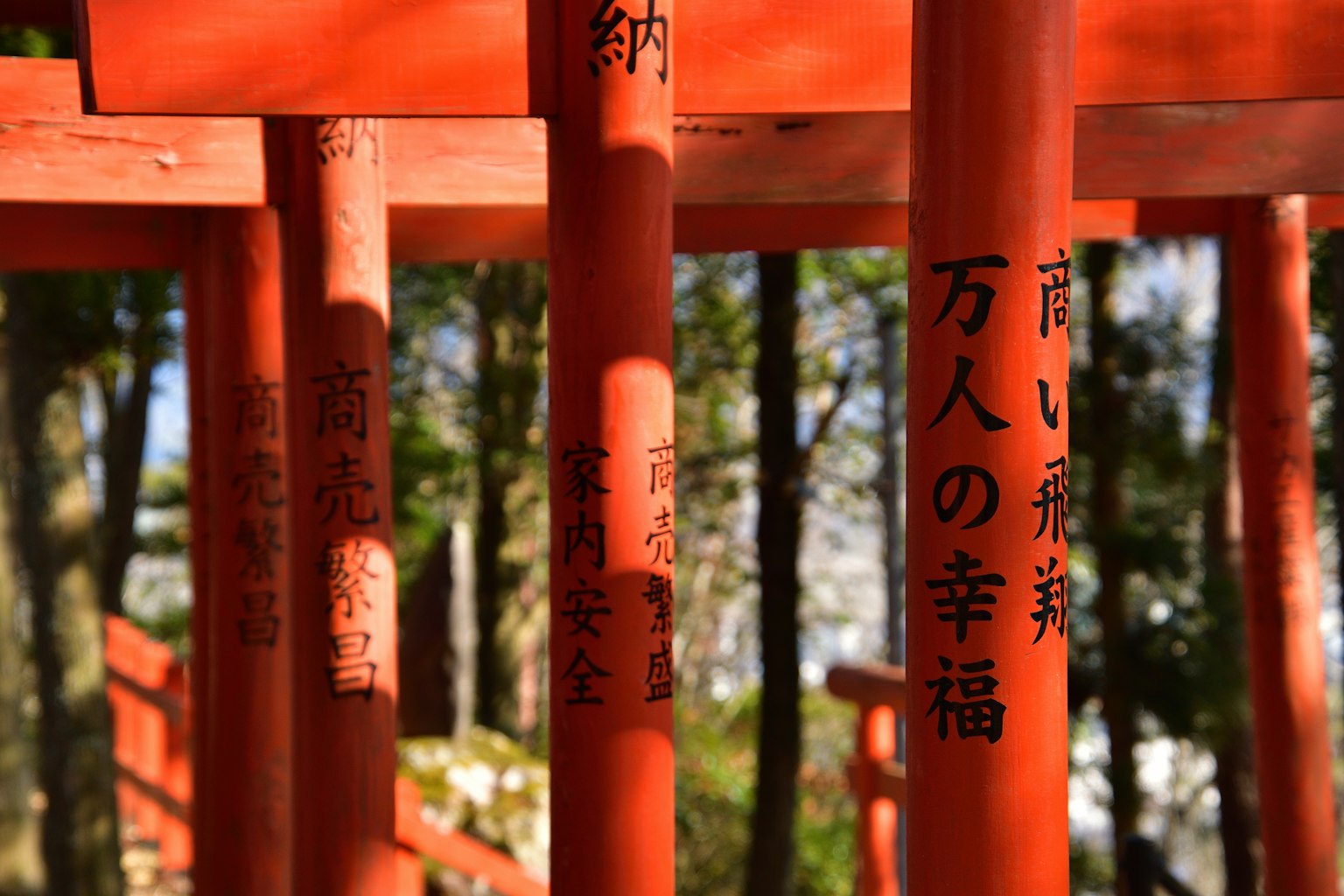 红色鸟居柱子上的铭文和绿色背景
