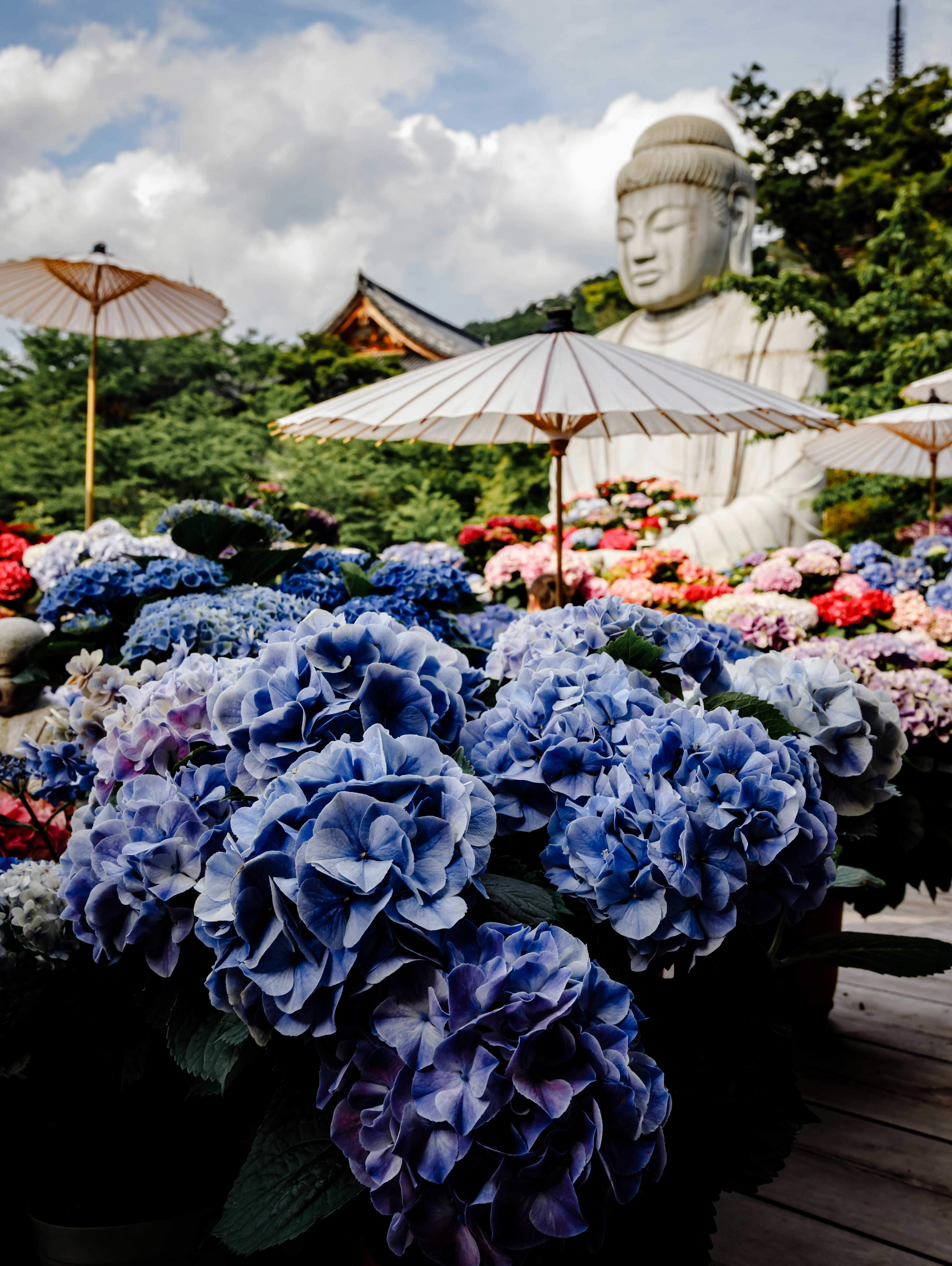 青い花の花壇と仏像のある庭園の風景