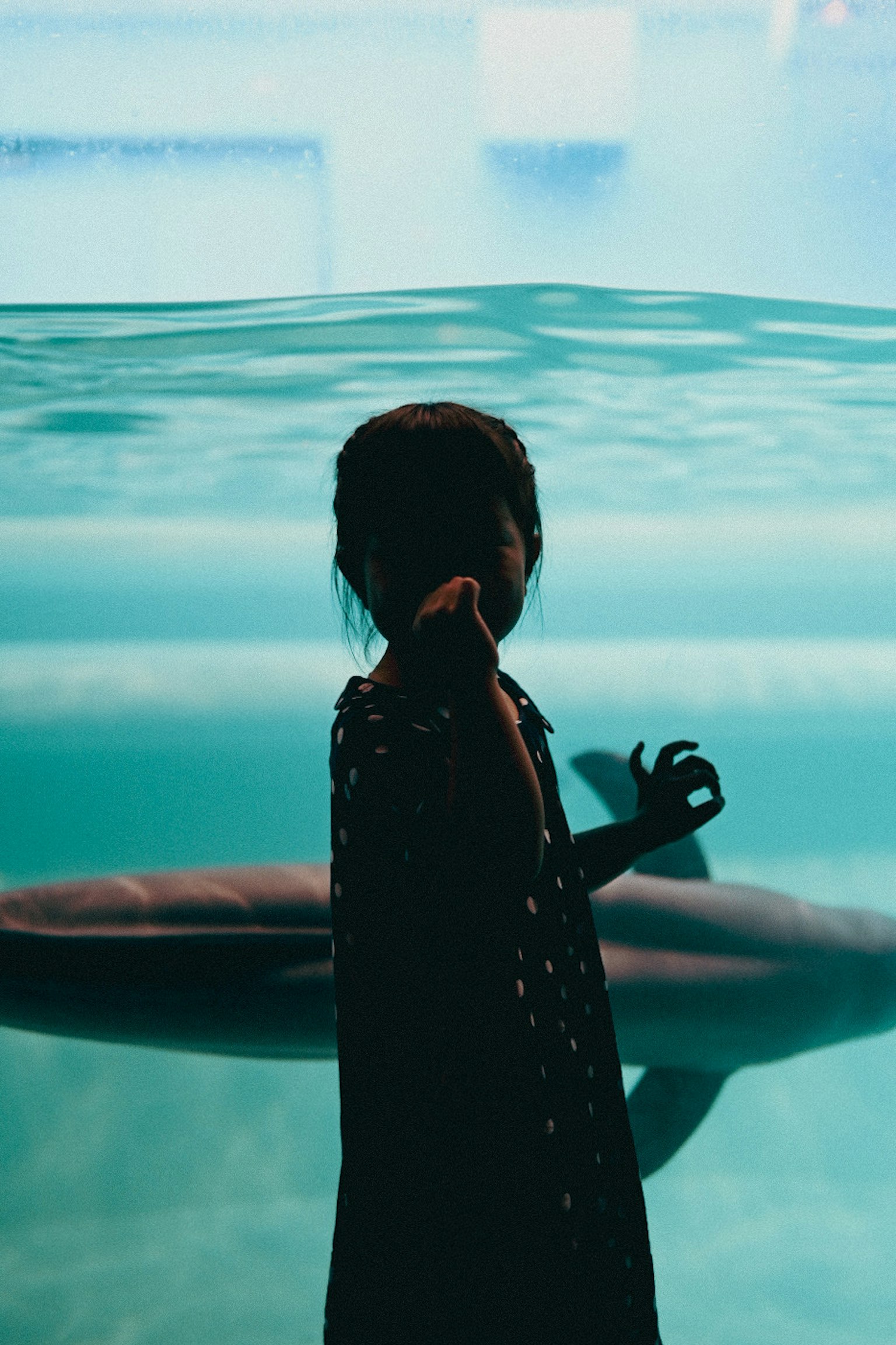 在水族馆前的孩子轮廓与后面的海豚游泳
