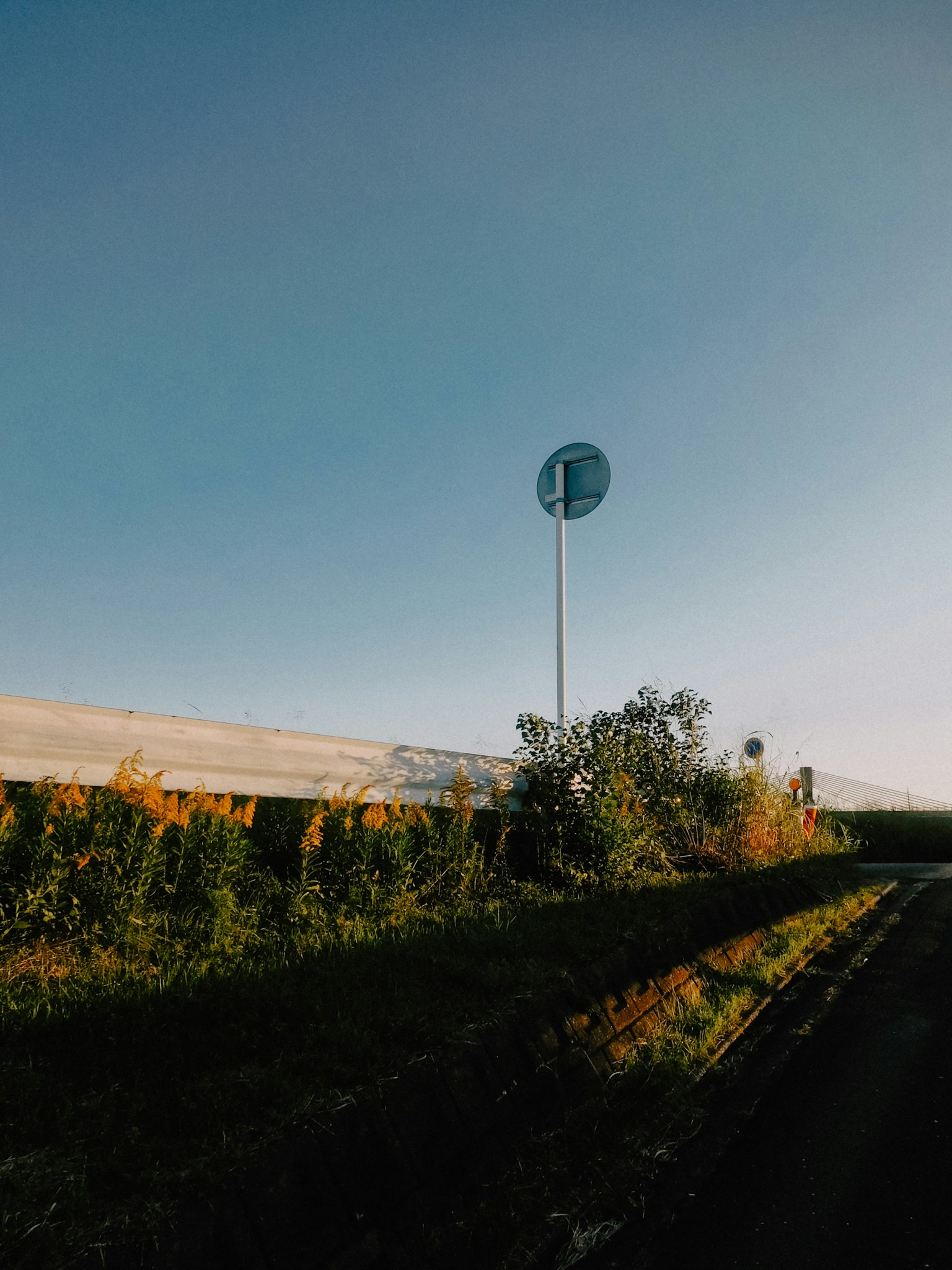 Verkehrsschild unter einem klaren blauen Himmel mit grünen Pflanzen in der Nähe