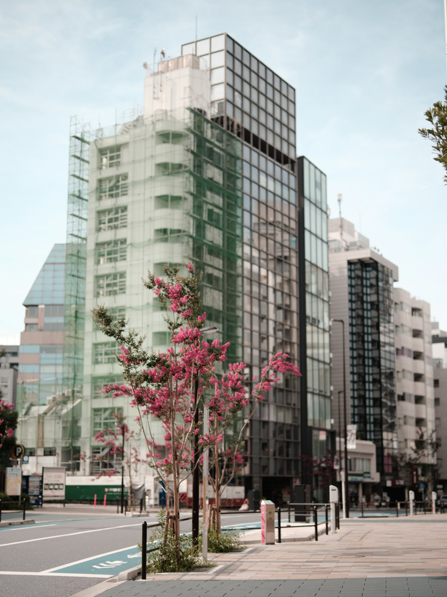Edificio moderno coperto da reti verdi con alberi in fiore