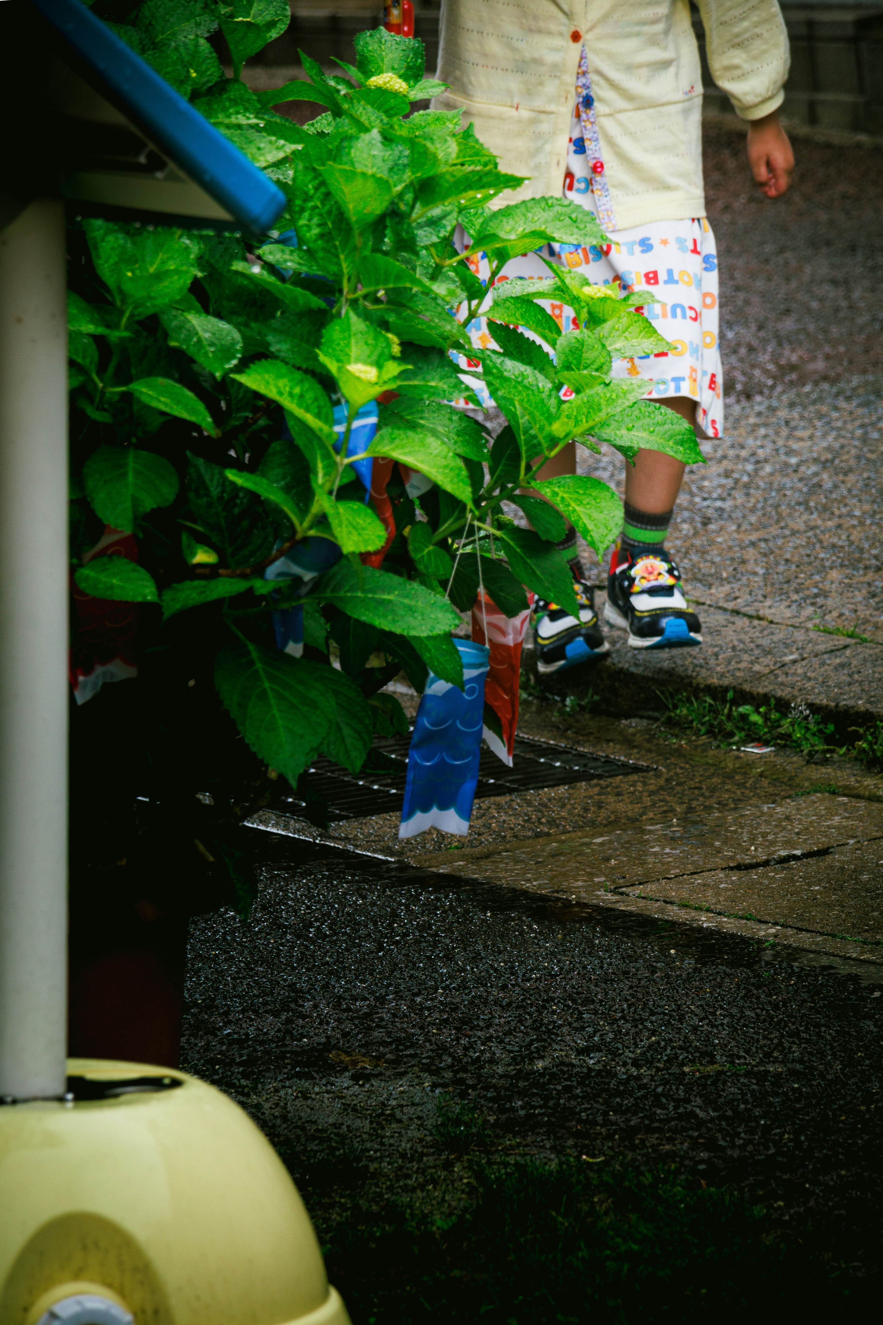 緑の植物と歩く子供の足元の写真