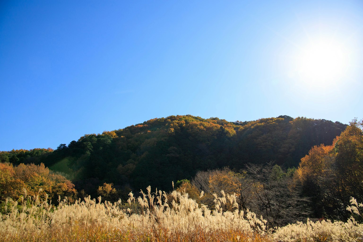Colline autunnali e prateria sotto un cielo blu chiaro e sole