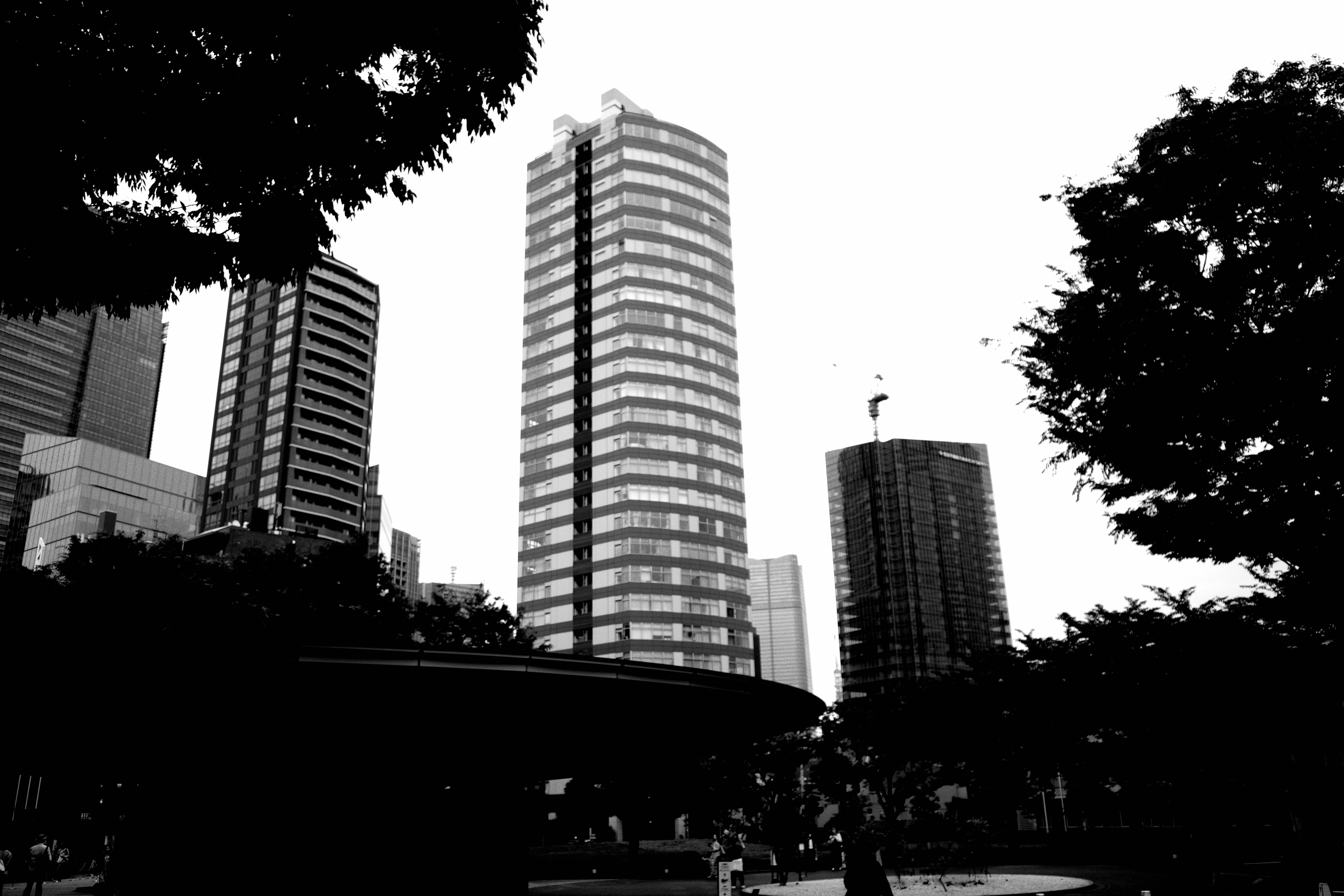 skyline urbain avec de hauts immeubles et des arbres