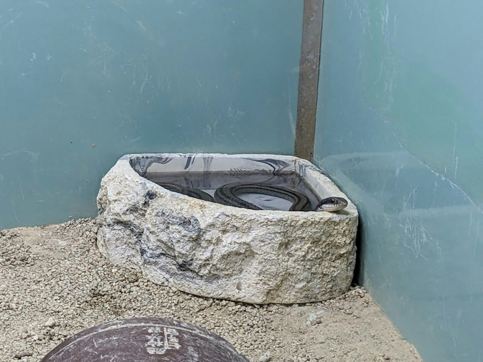 室內景觀，展示了一個岩石狀的水槽和透明蓋子