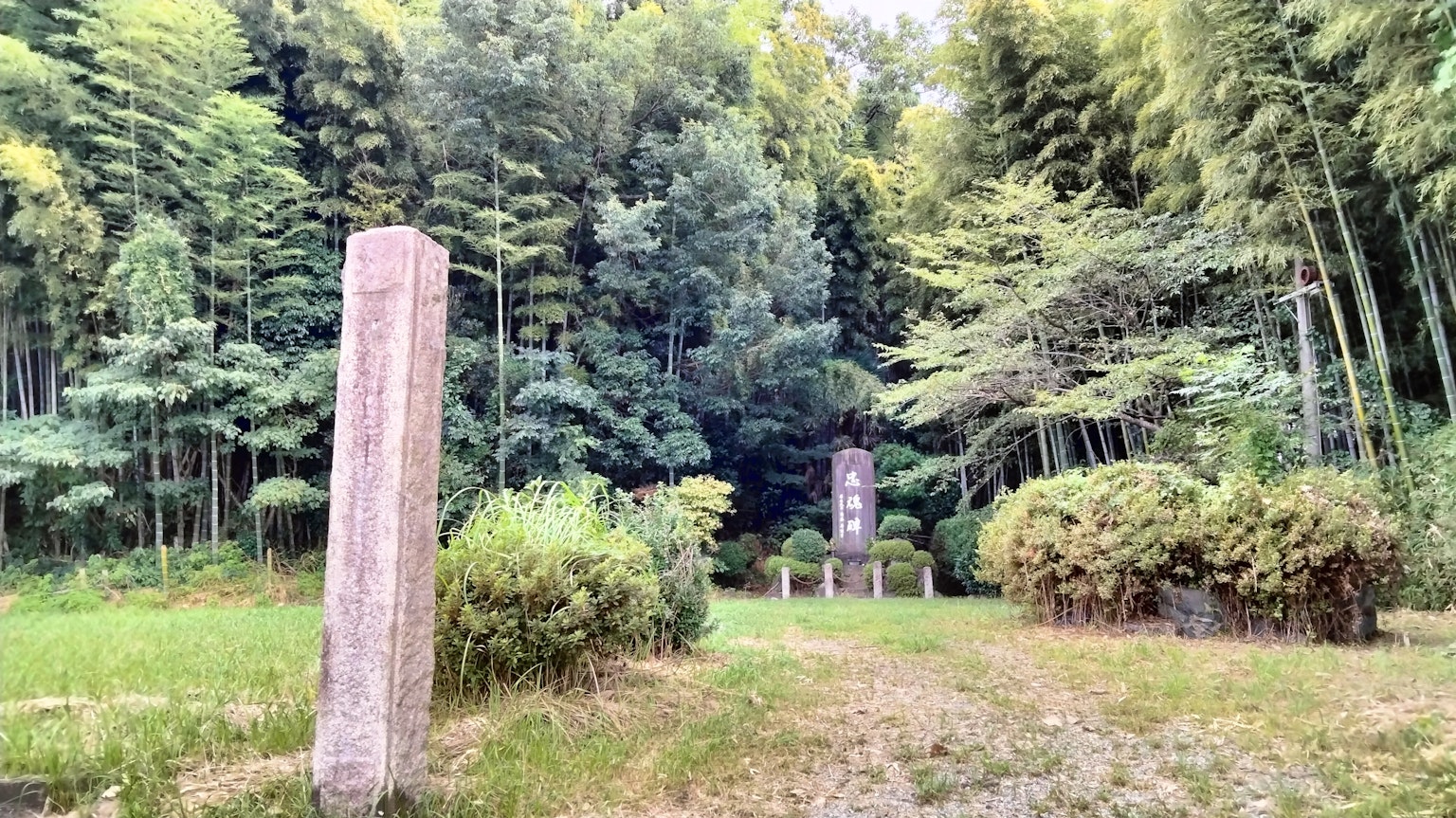 Vue pittoresque de monuments en pierre anciens entourés par une forêt de bambous luxuriante