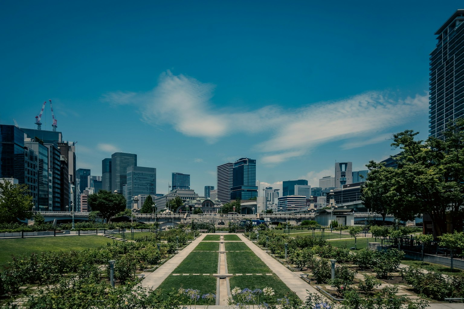 Taman kota dengan pepohonan dan gedung pencakar langit di bawah langit biru