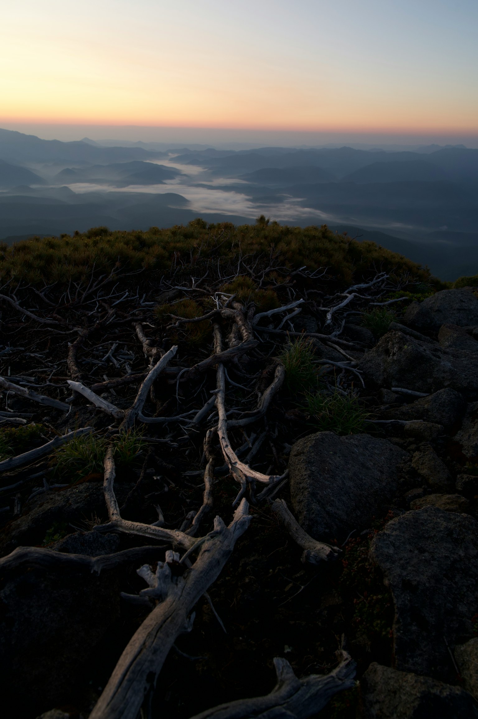 Landschaft bei Sonnenuntergang von einem Berggipfel mit trockenen Ästen und Steinen