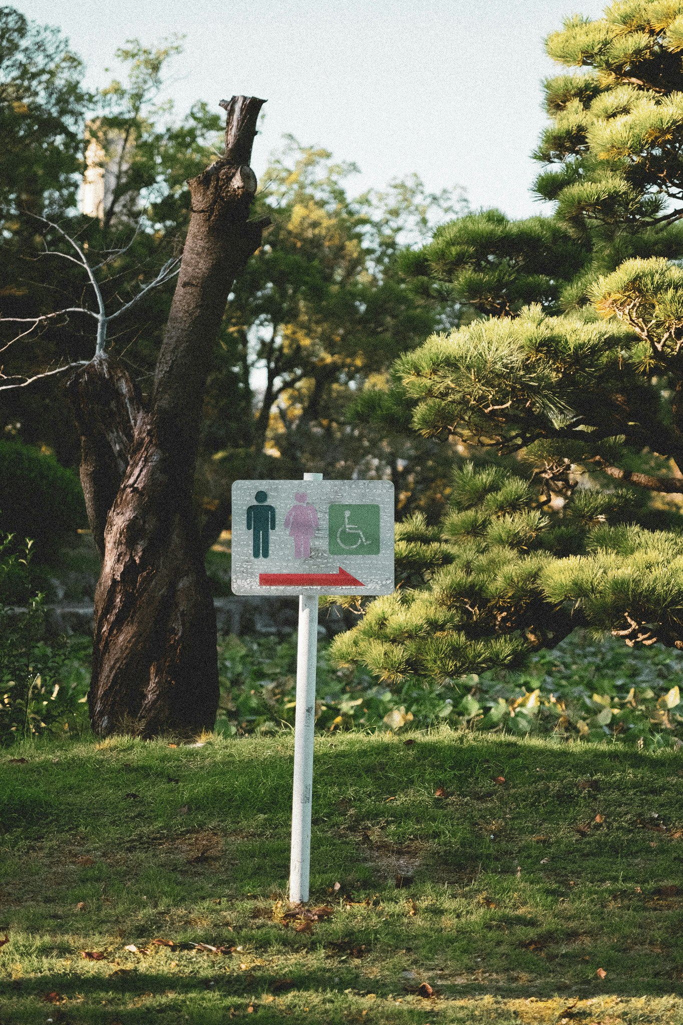 公園の芝生に立つバリアフリー案内標識のある風景