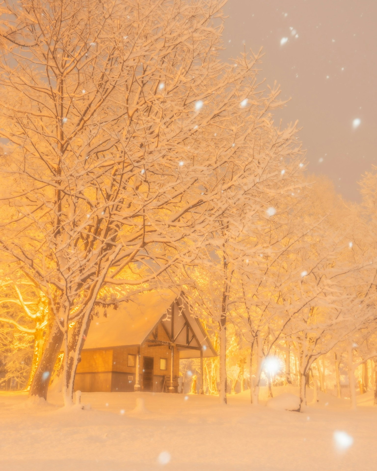 Winterlandschaft mit schneebedeckten Bäumen und einer warm beleuchteten Hütte