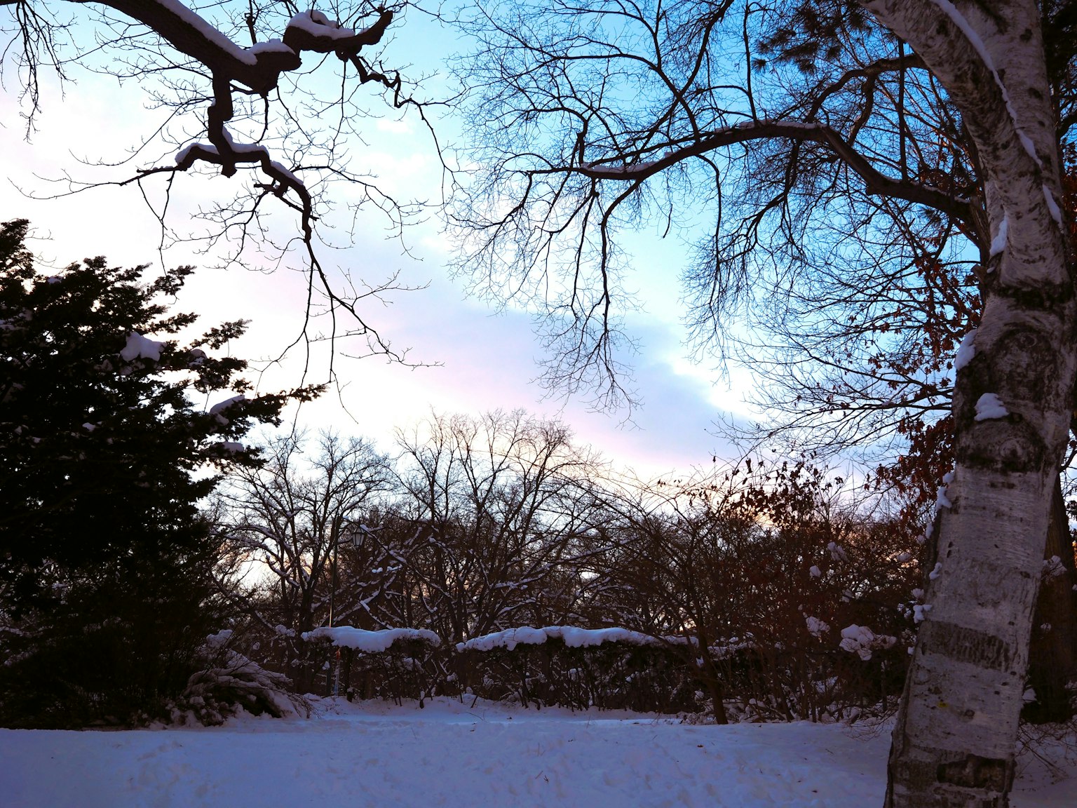 Schneebedeckte Landschaft mit Bäumen und blauem Himmel