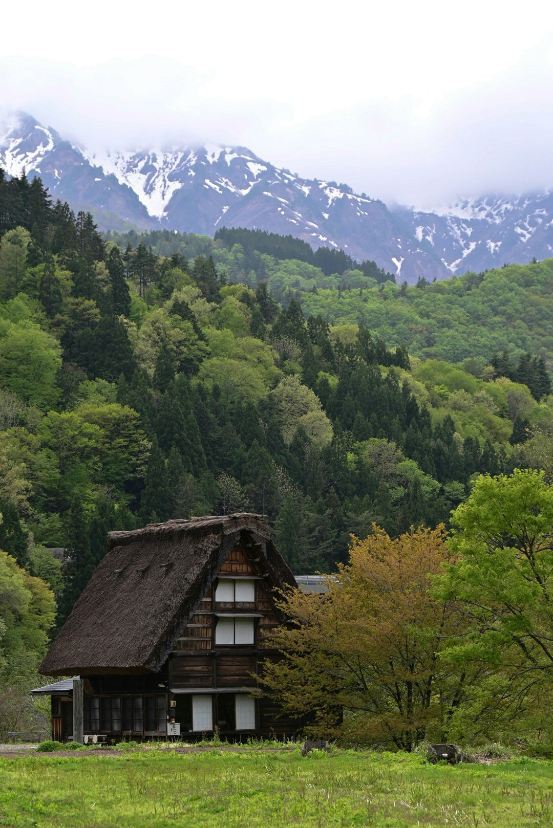 山並みを背景にした茅葺きの古民家と緑の草地
