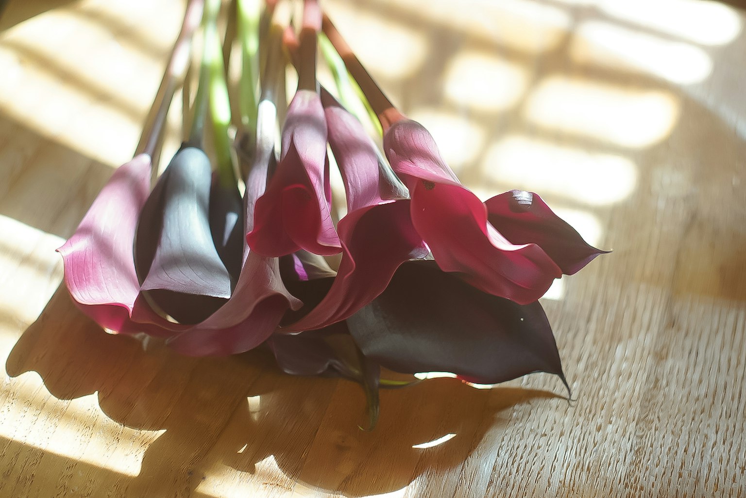 A bouquet of purple calla lilies resting on a wooden table with soft sunlight