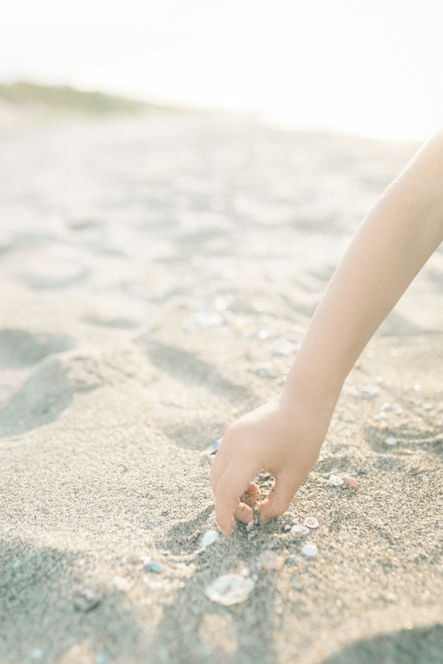 มือที่เก็บเปลือกหอยบนชายหาด
