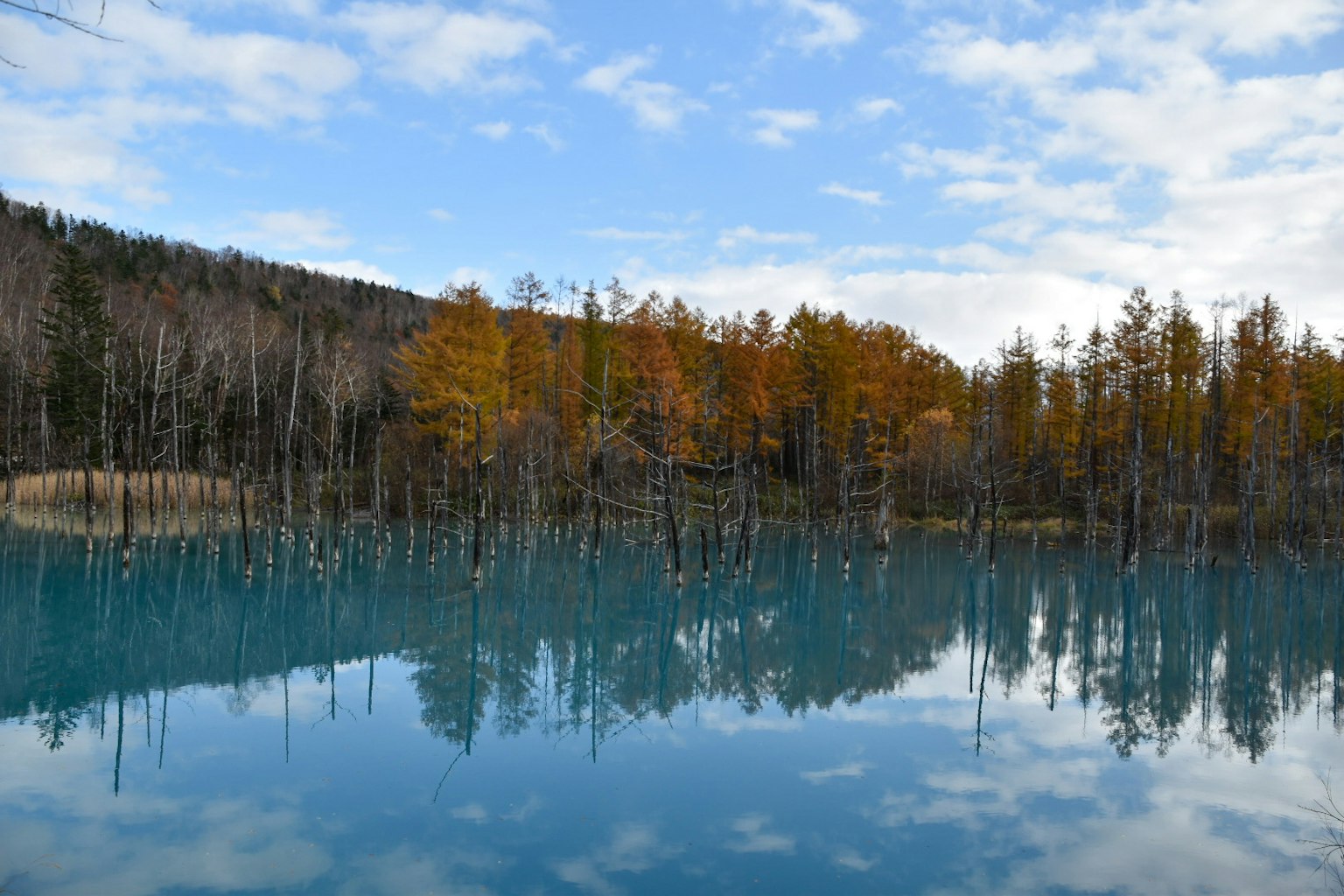 Vue panoramique d'un lac bleu reflétant des arbres d'automne