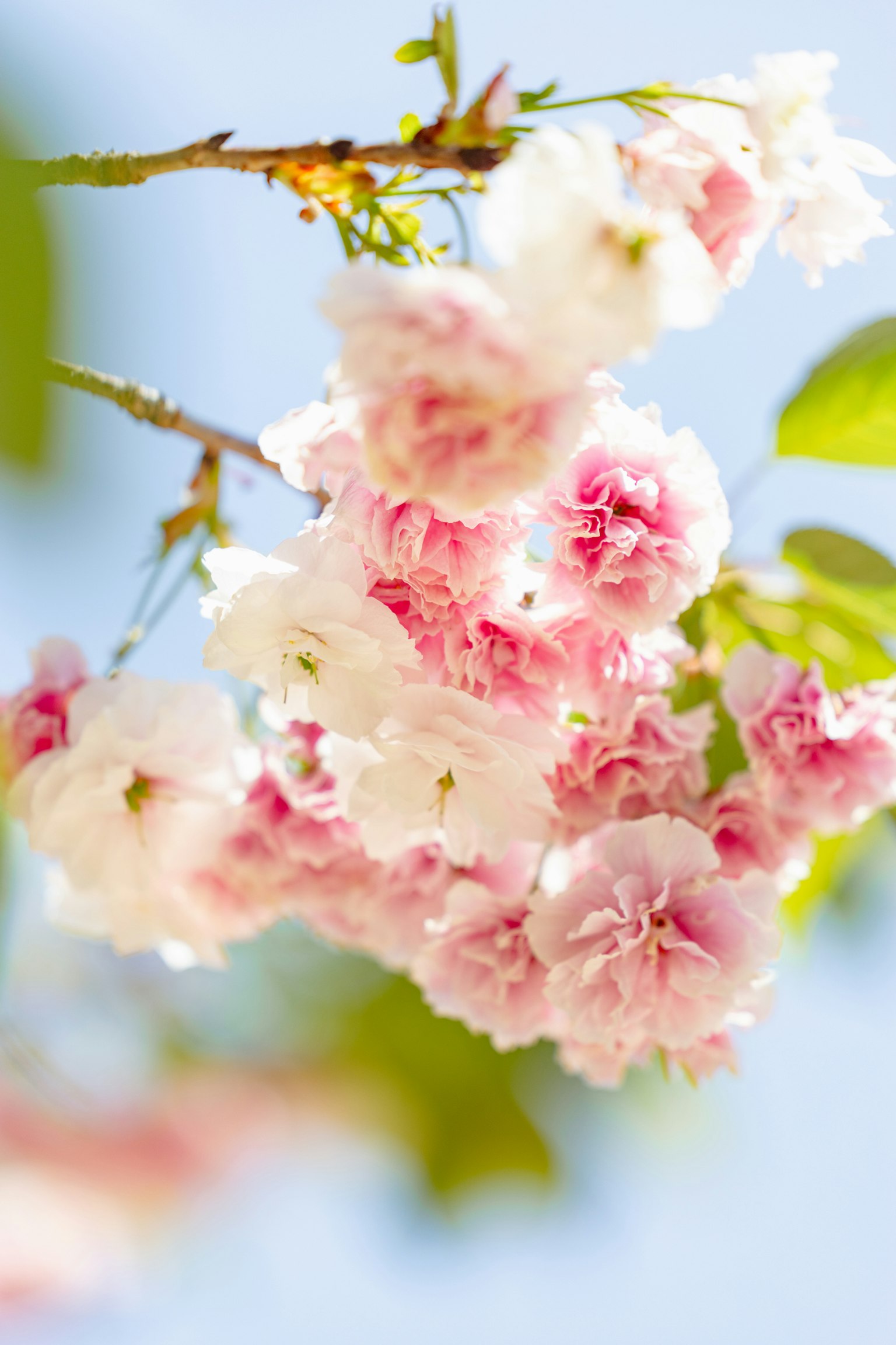 photo-46YpD3NpwsRKqKxWwyet-image