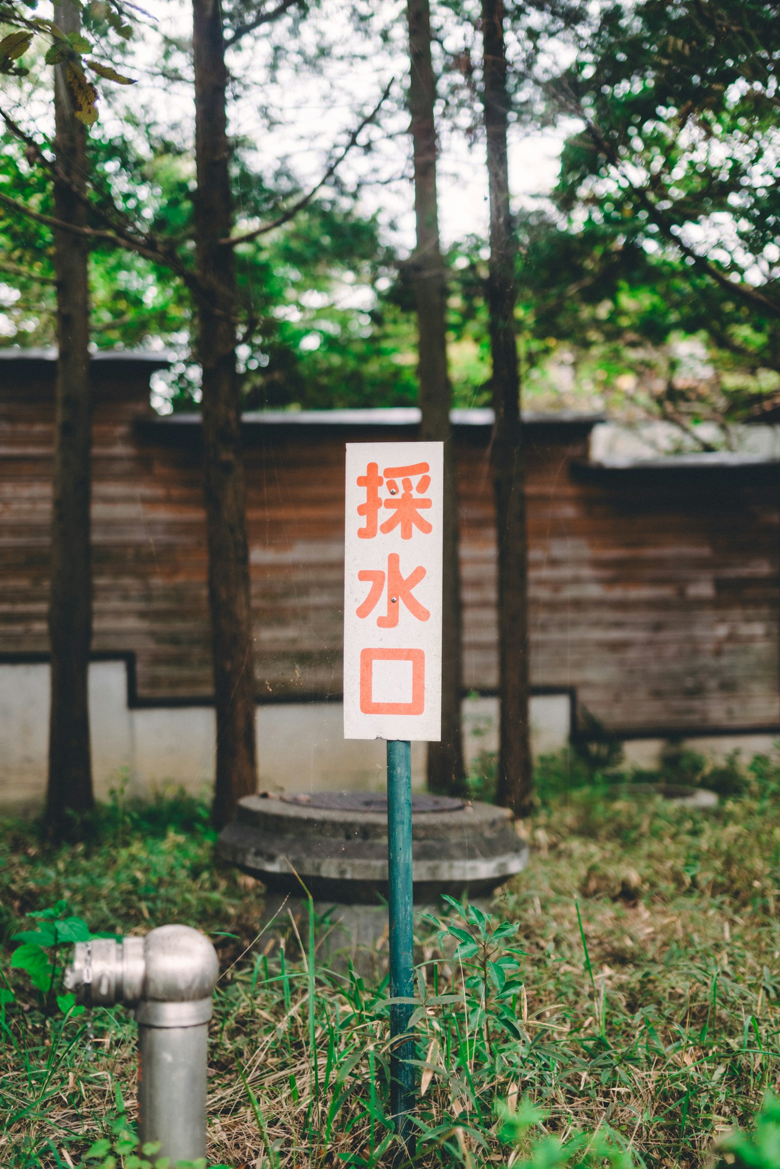 水提取标志被树木环绕