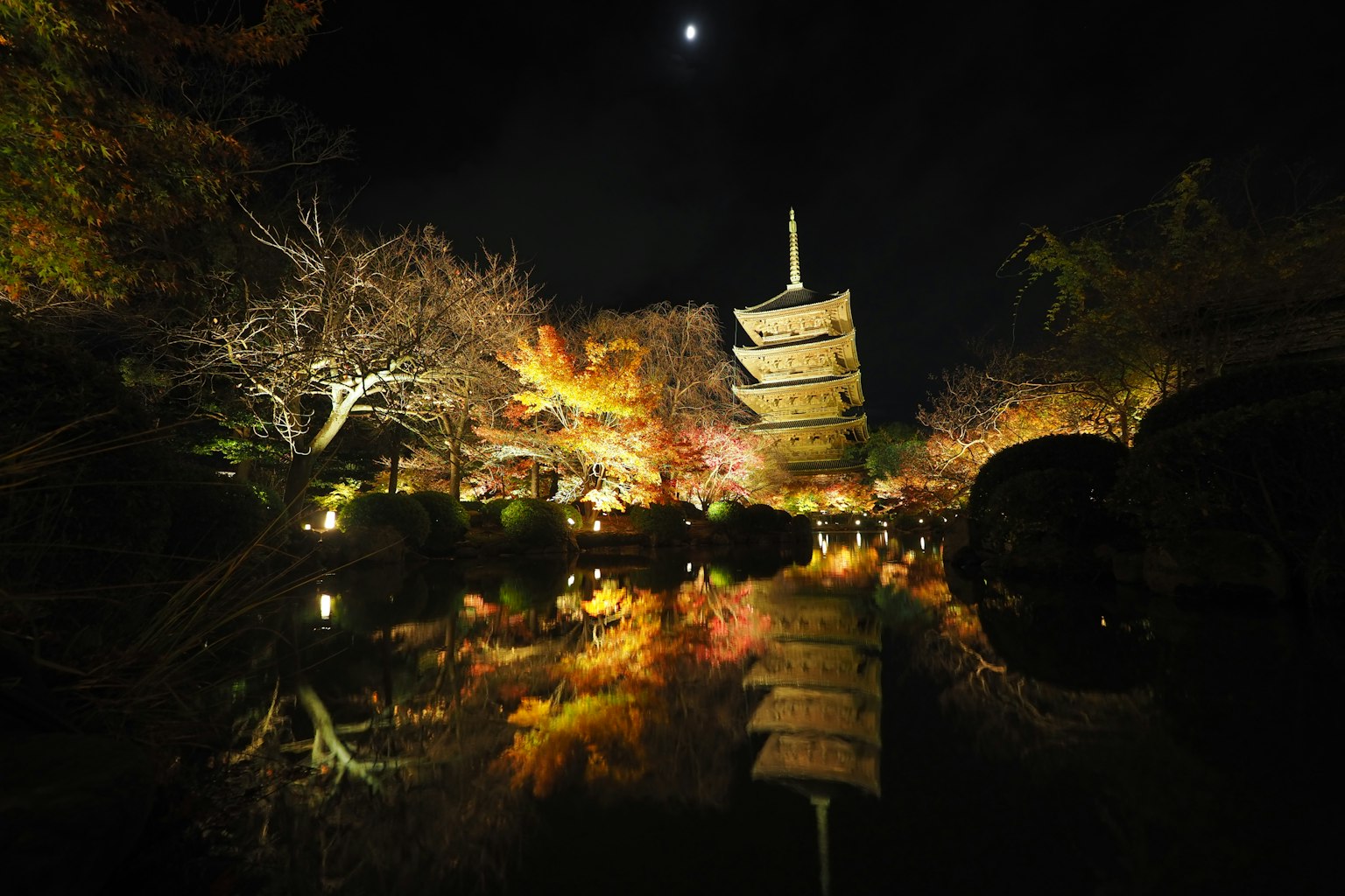 Japanese pagoda with autumn leaves reflecting in a tranquil pond at night