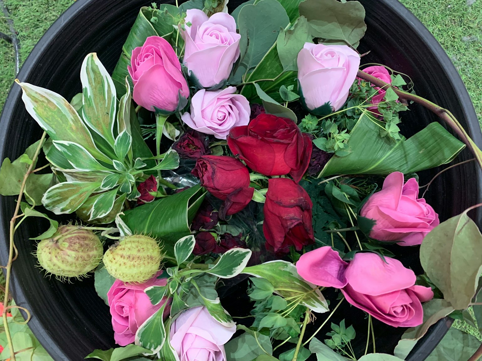 Ein Strauß aus roten und rosa Rosen gemischt mit grünen Blättern in einem schwarzen Topf
