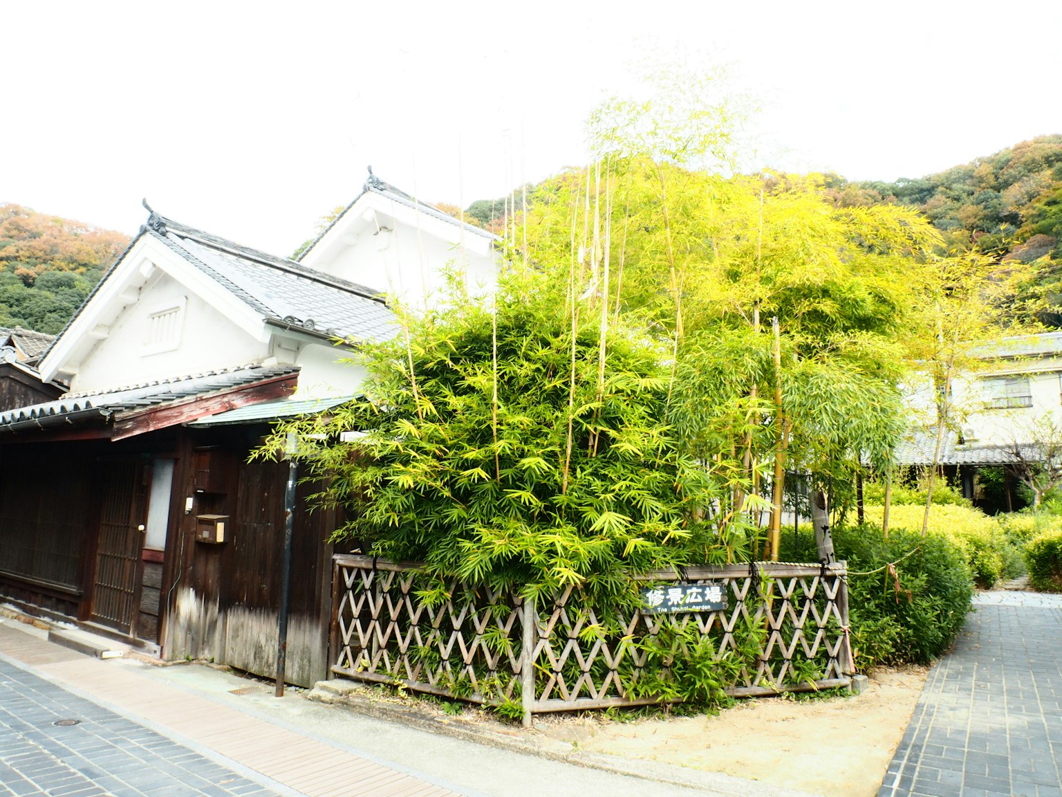 Vue pittoresque d'une maison japonaise traditionnelle entourée de bambous luxuriants