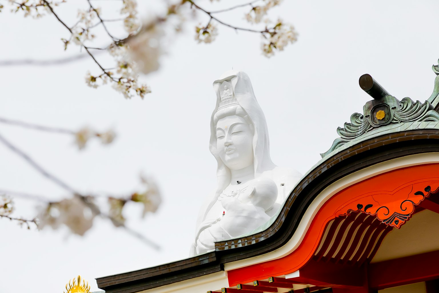 白色观音像与前景樱花
