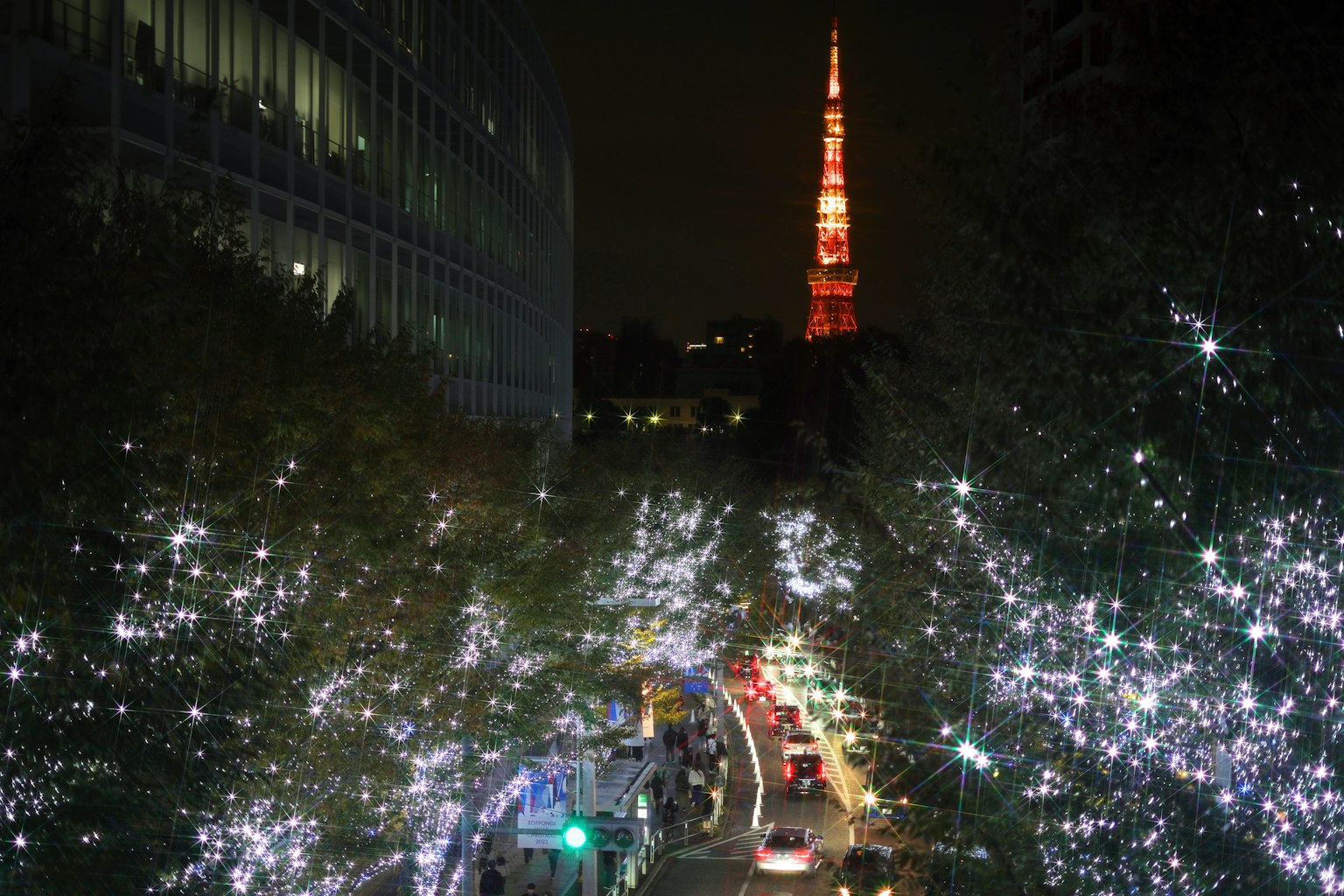 Night view of Tokyo Tower with illuminated trees and cityscape