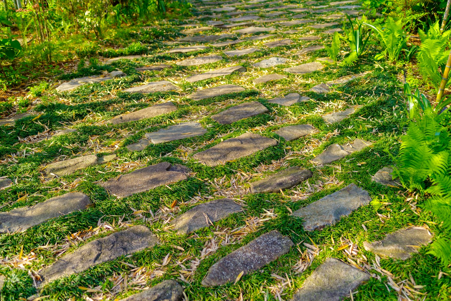 A stone pathway surrounded by greenery