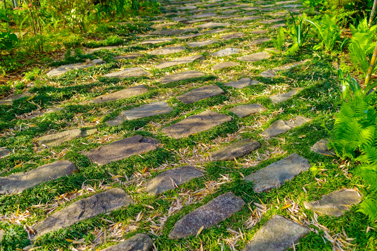 A stone pathway surrounded by greenery